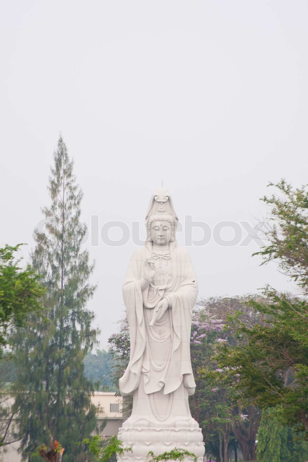 Kuan Yin Statue Stock Bild Colourbox