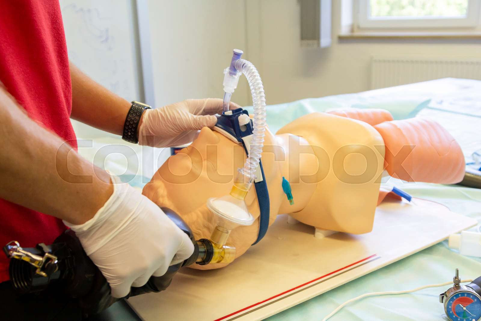 Endotracheal intubation on a medical practice puppet | Stock image ...