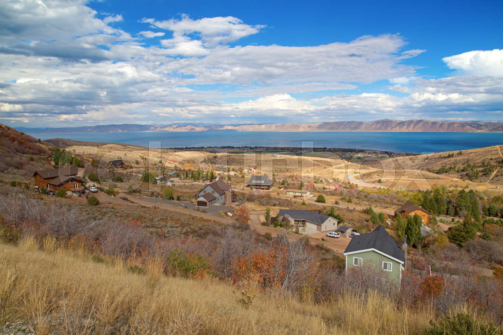 Bear lake Stock image Colourbox