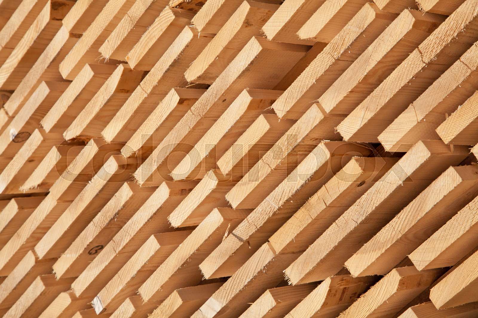 Fresh wooden studs | Stock image | Colourbox