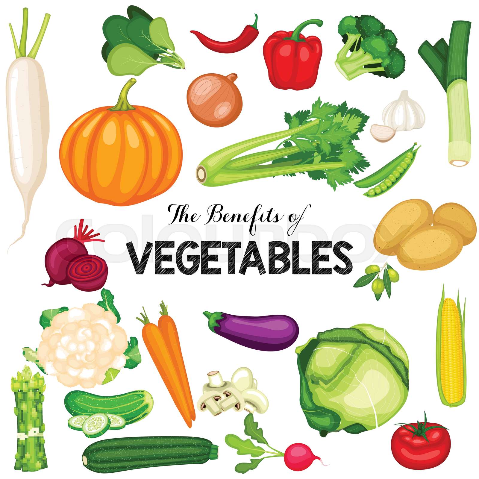 Health benefits of vegetables Stock vector Colourbox