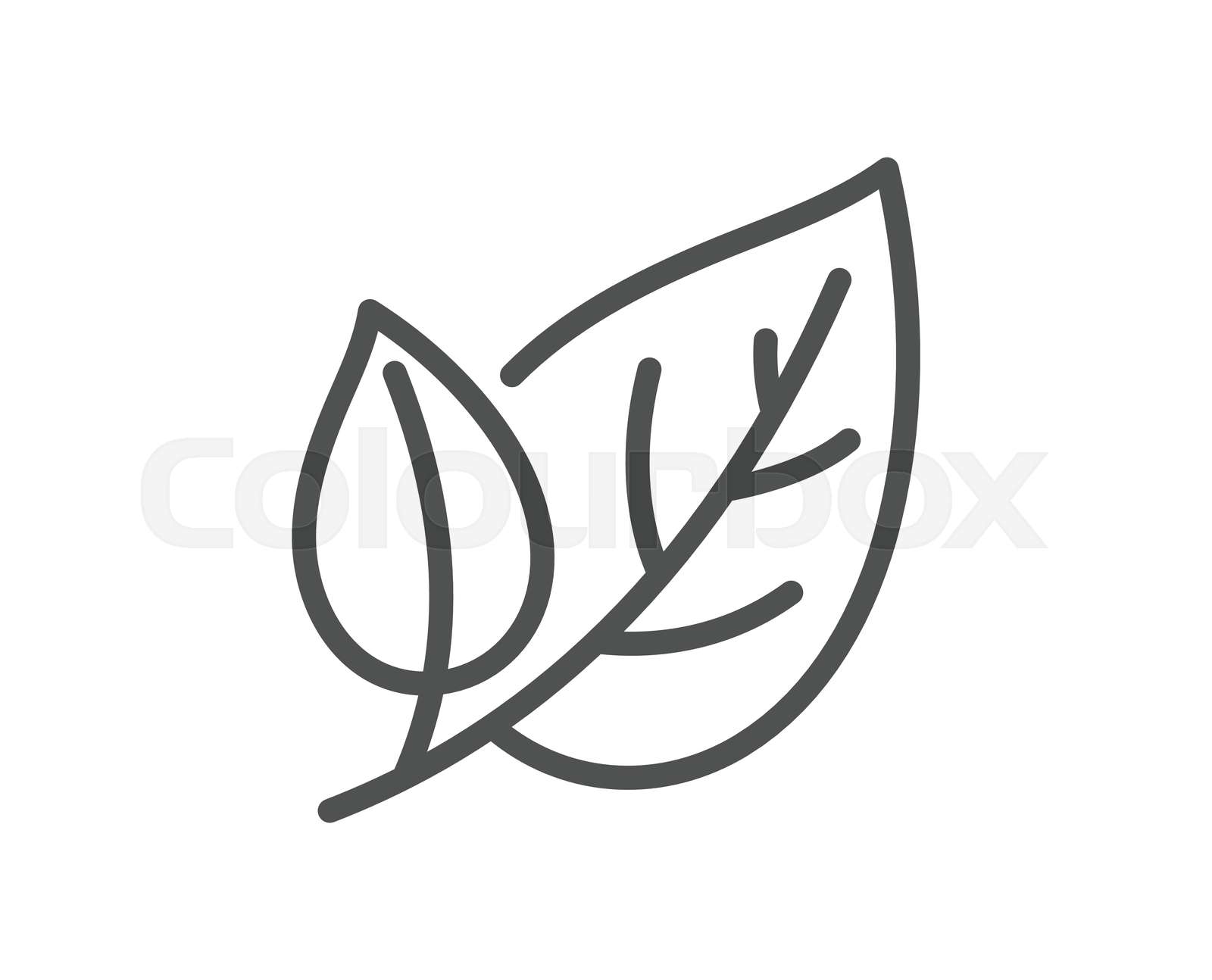 Blatt Strich Icon Stock Vektor Colourbox