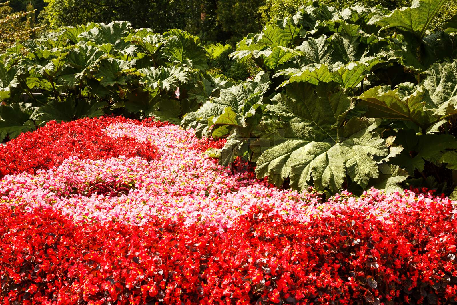 Park in Hamburg | Stock image | Colourbox