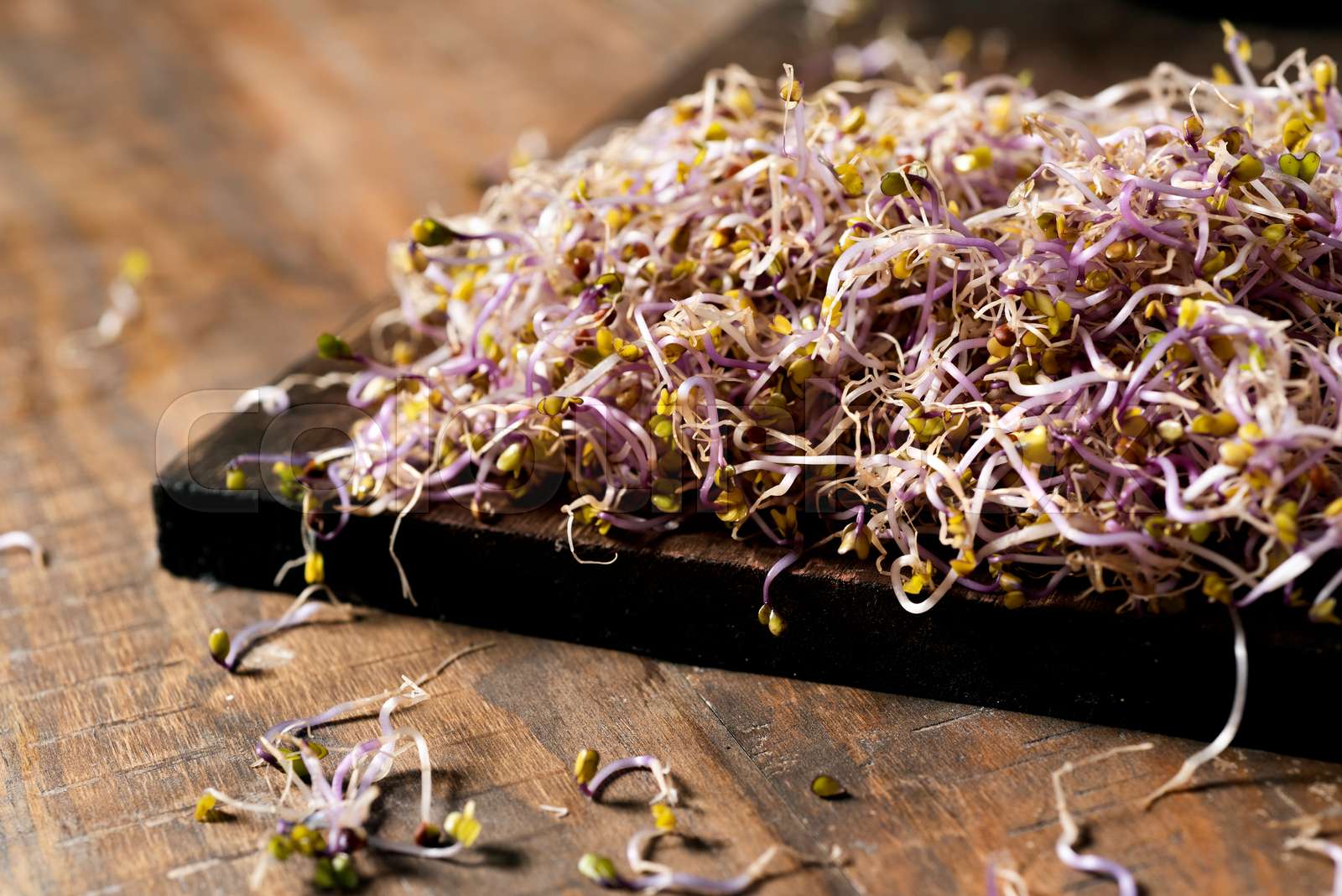 kale sprouts Stock image Colourbox