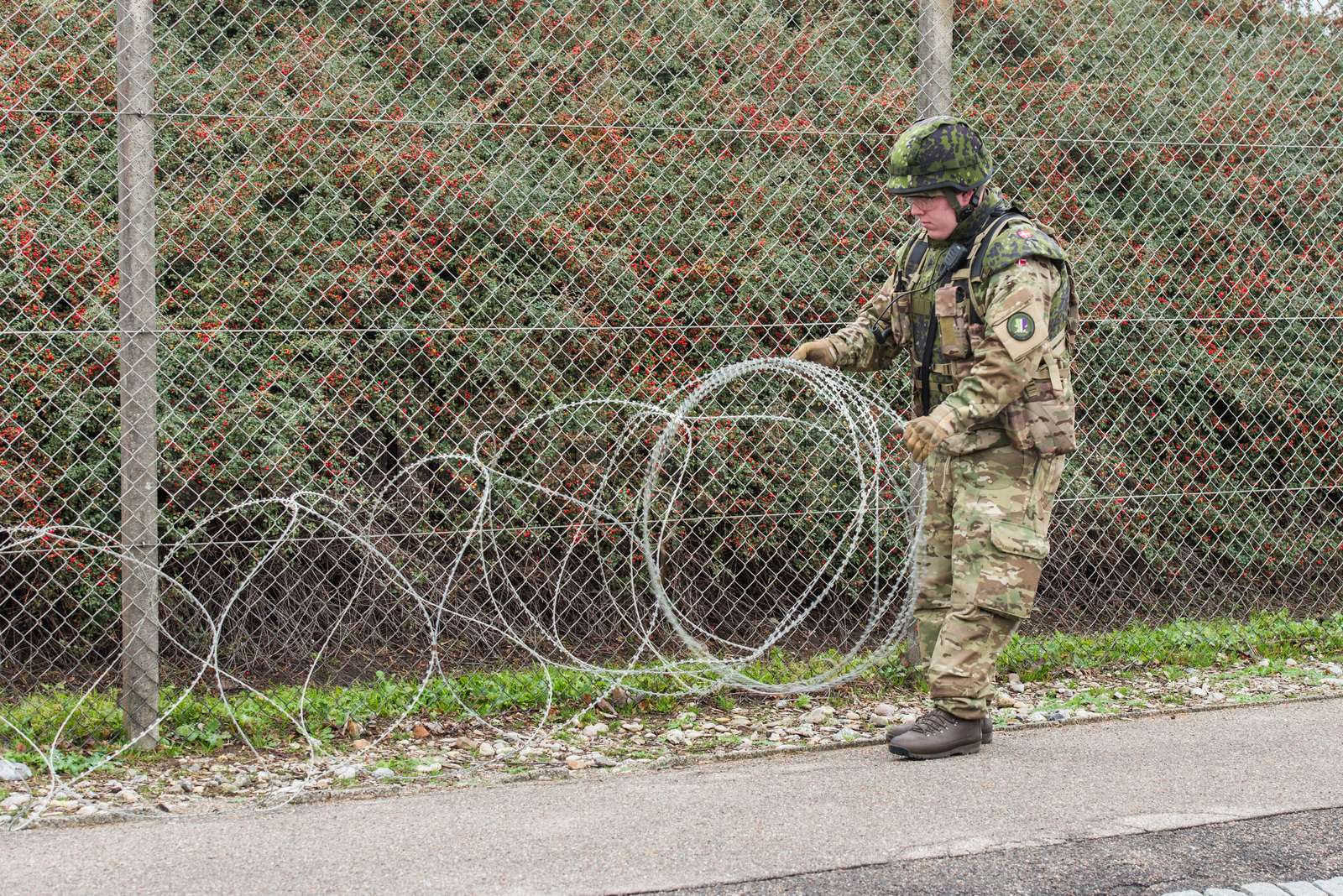 denmark, forsvaret, militær Stock image Colourbox
