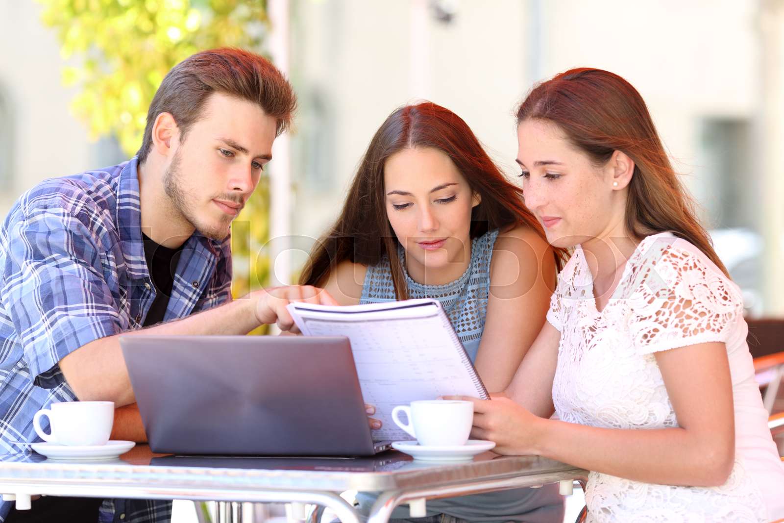 Concentrated students studying in a coffee shop Stock image Colourbox