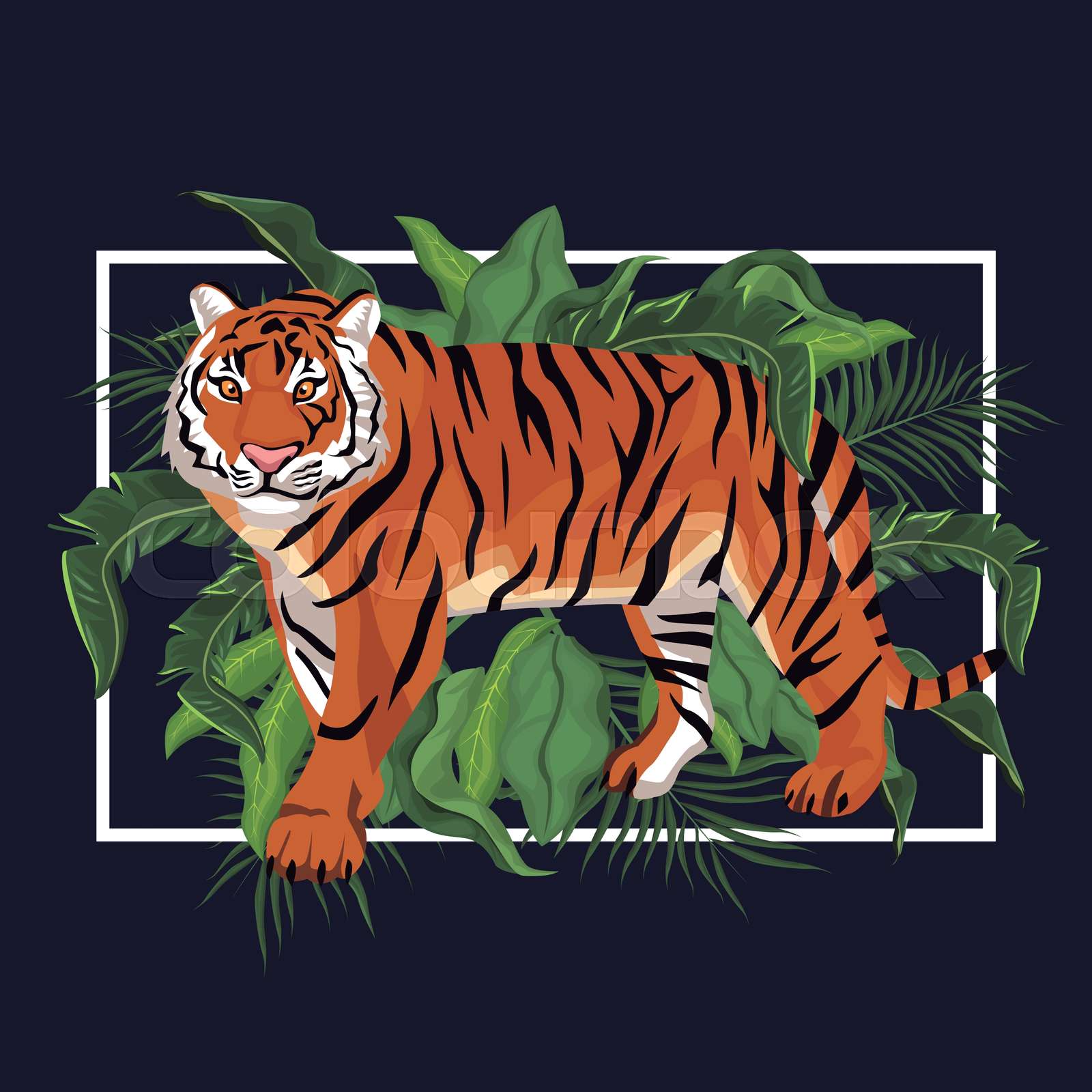 Tiger in the jungle | Stock vector | Colourbox