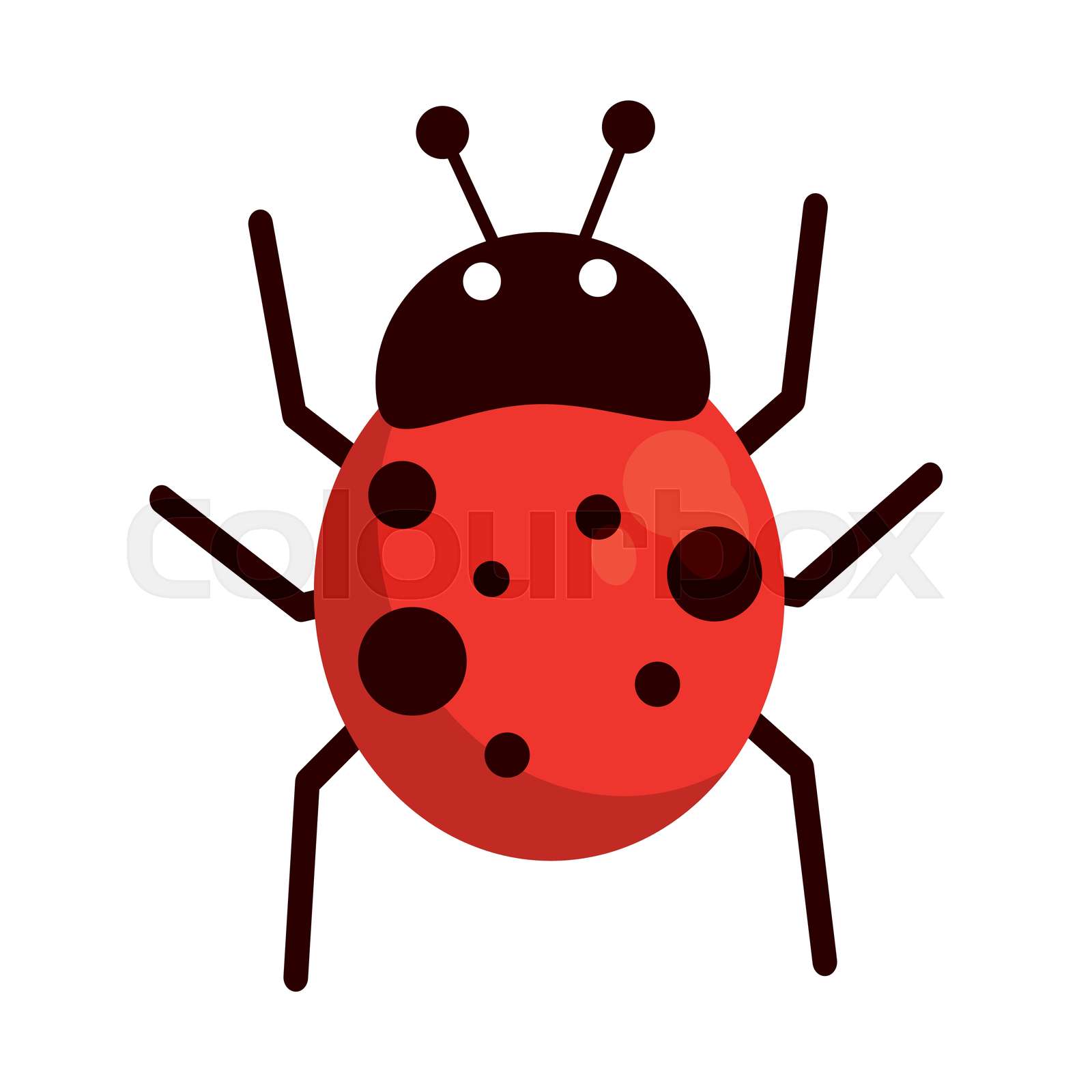 Ladybug Antenna Color