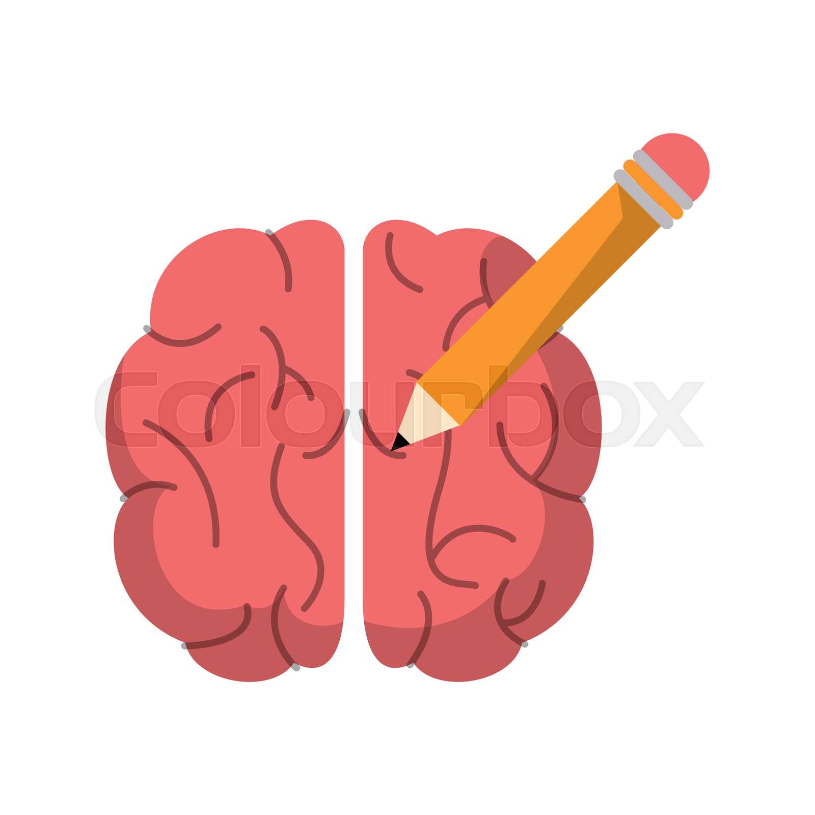 brain pencil creativity school Stock vector Colourbox