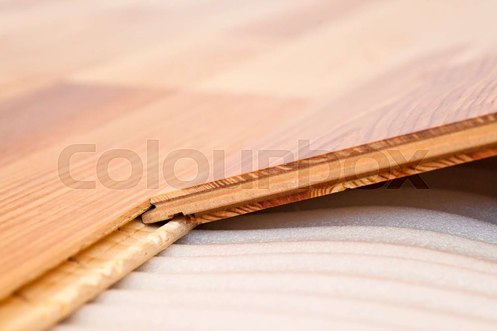 Installation of natural wood floorboard | Stock image | Colourbox