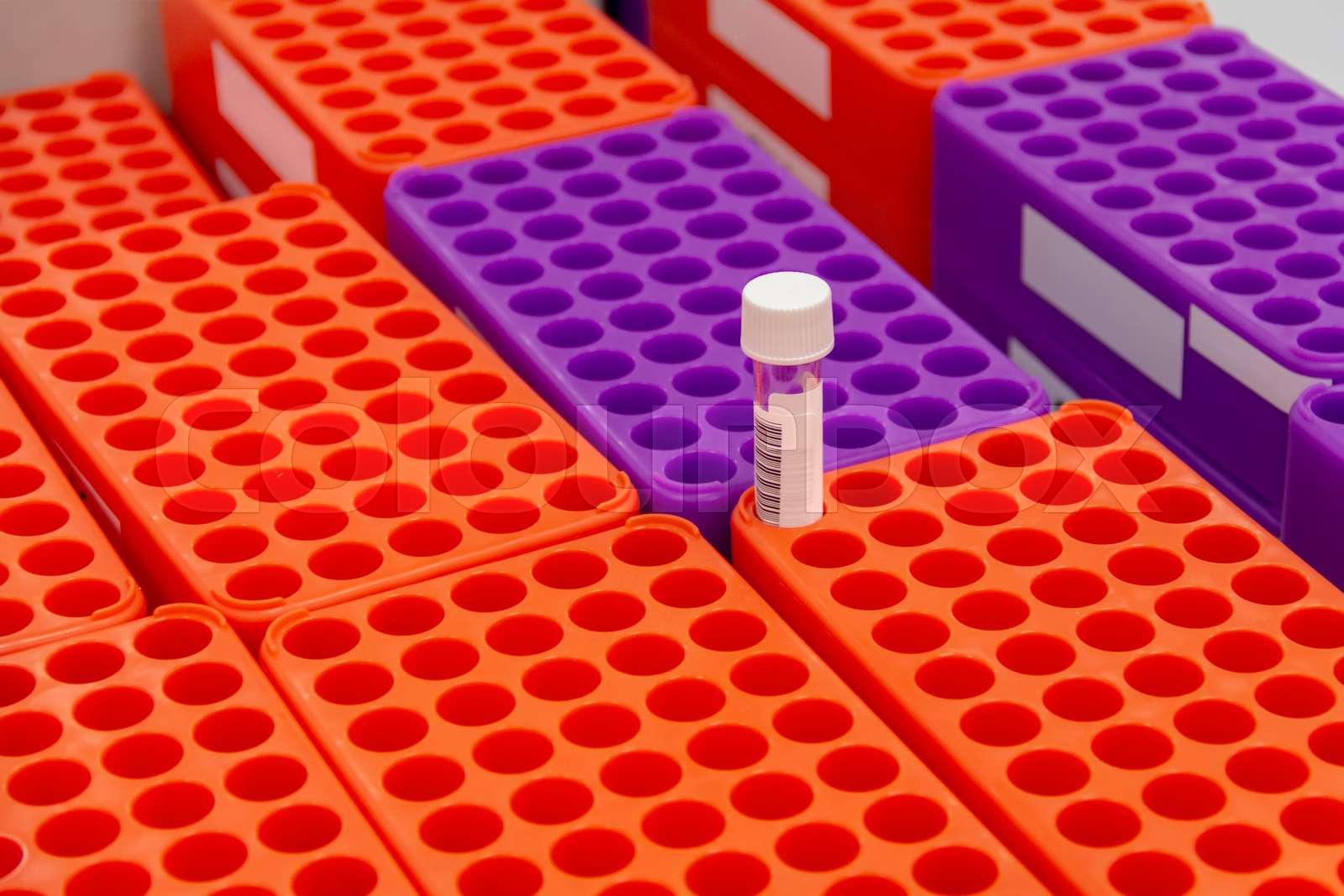 Mat Sample Rack