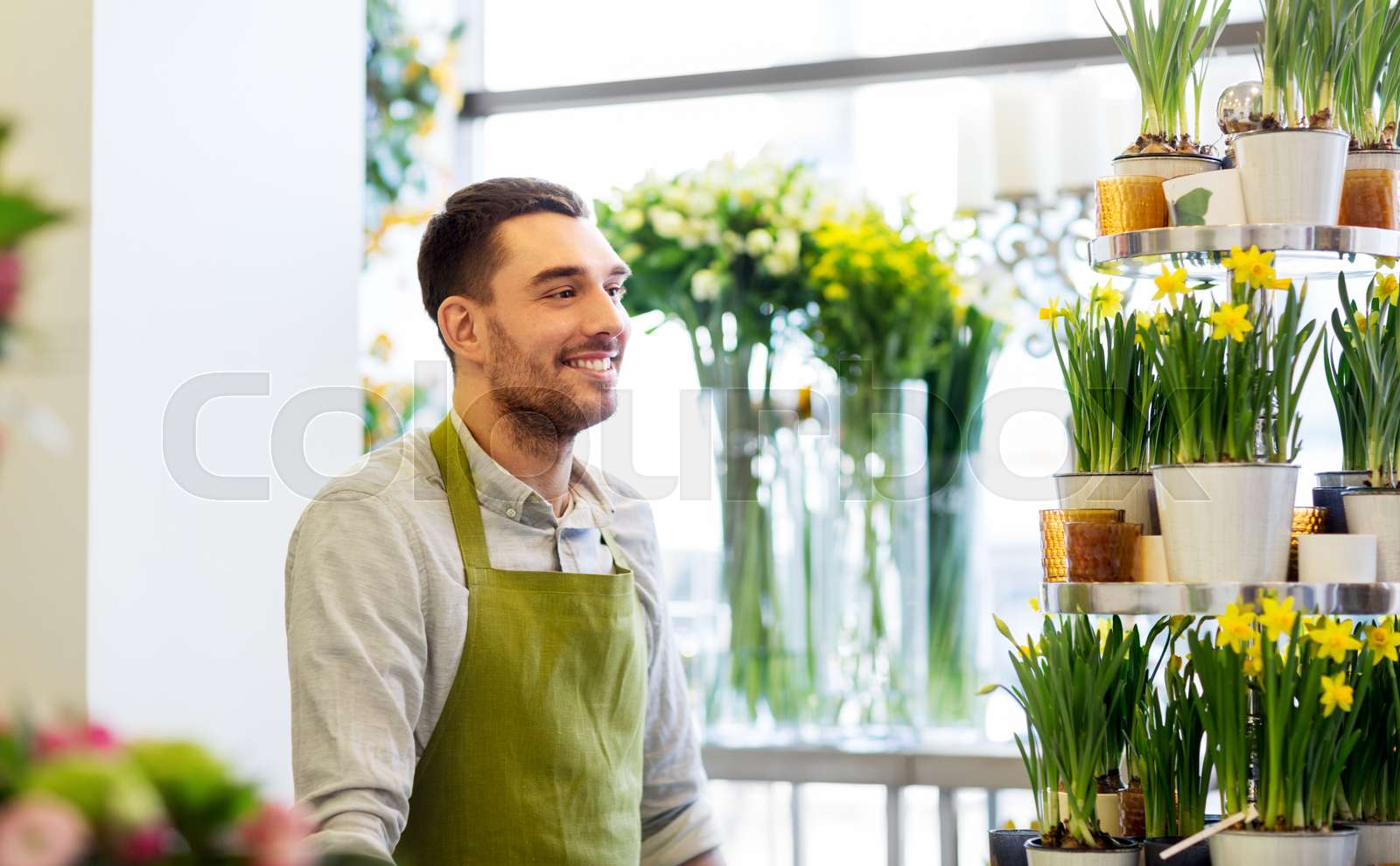 florist man or seller at flower shop counter Stock image Colourbox