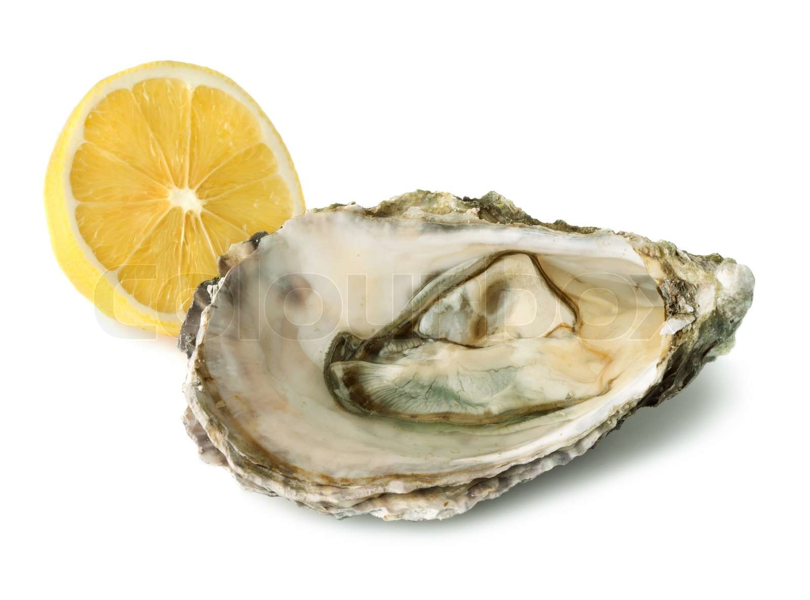 Oyster and lemon Stock image Colourbox