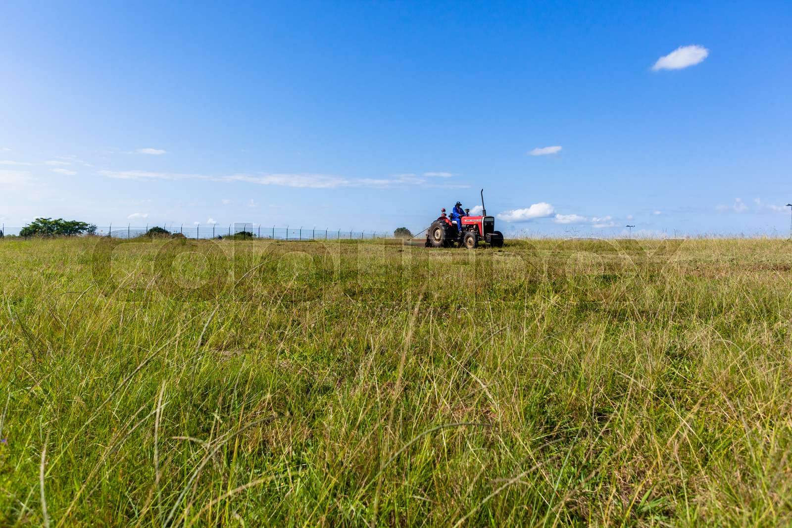 Tractor Cutting Grass | Stock image | Colourbox