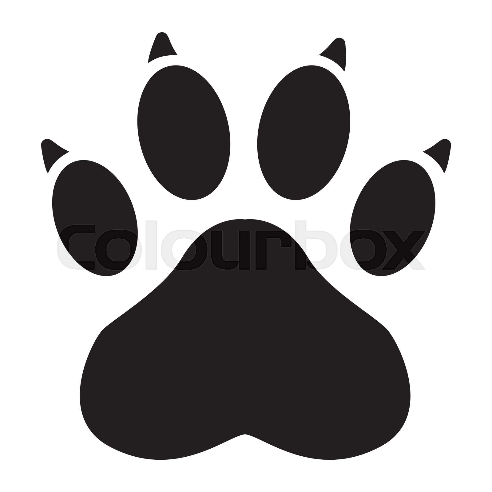Paw print symbol Stock vector Colourbox