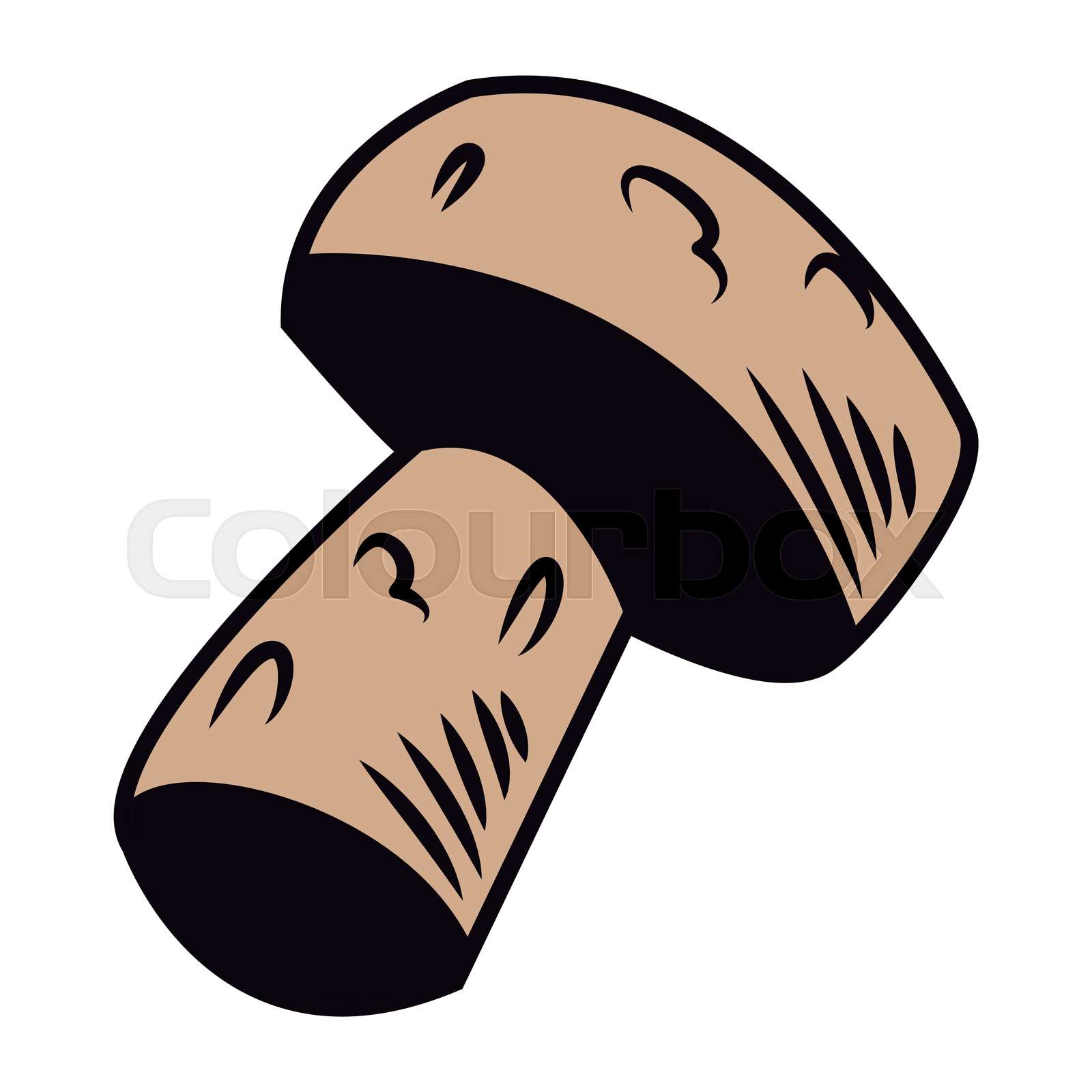 Wine cork isolated Stock vector Colourbox