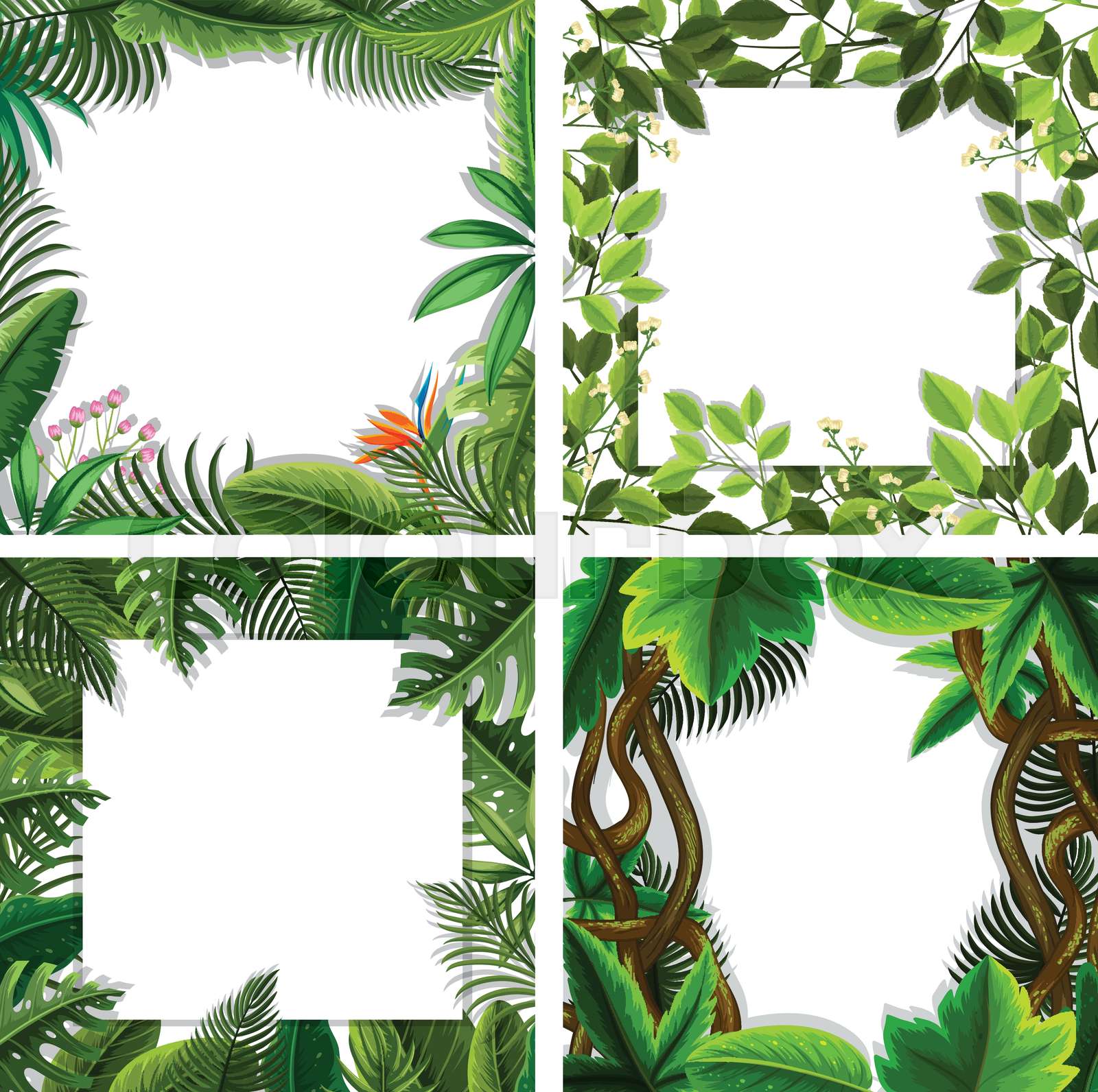 A set of nature leaf border | Stock vector | Colourbox