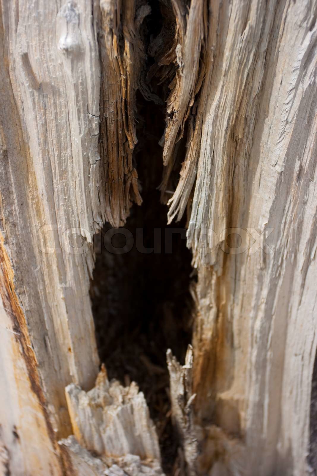 Hollow Earth intelligence overview