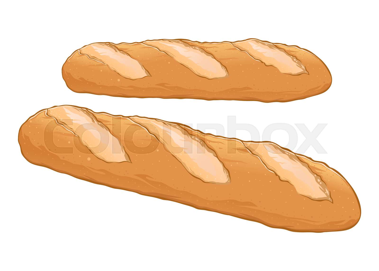 Fresh Baguette Bread Hand Drawn | Stock vector | Colourbox