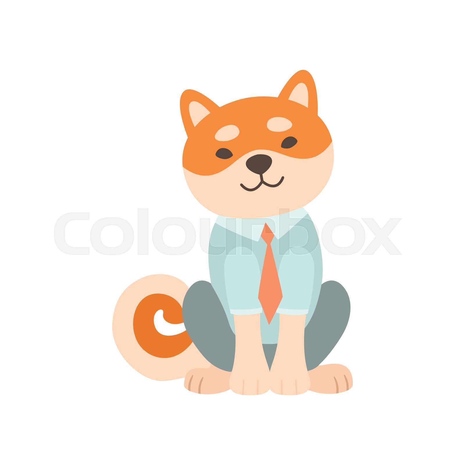 shiba clothes