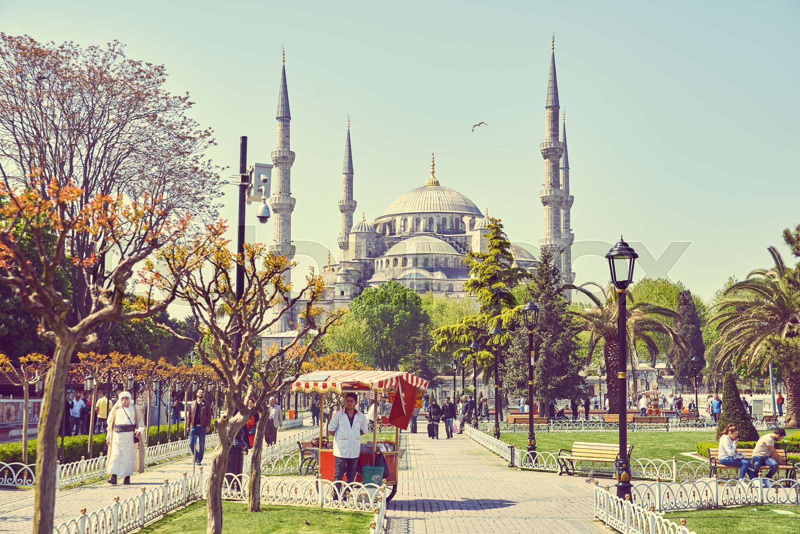 The Sultan Ahmed Mosque | Stock image | Colourbox