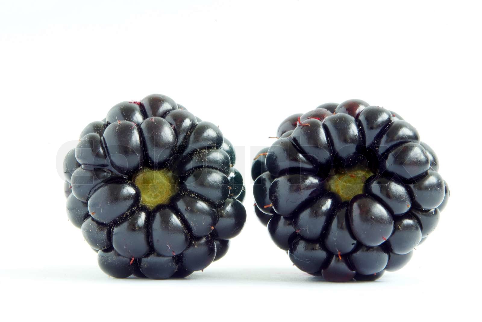 Blackberry Stock Image Colourbox