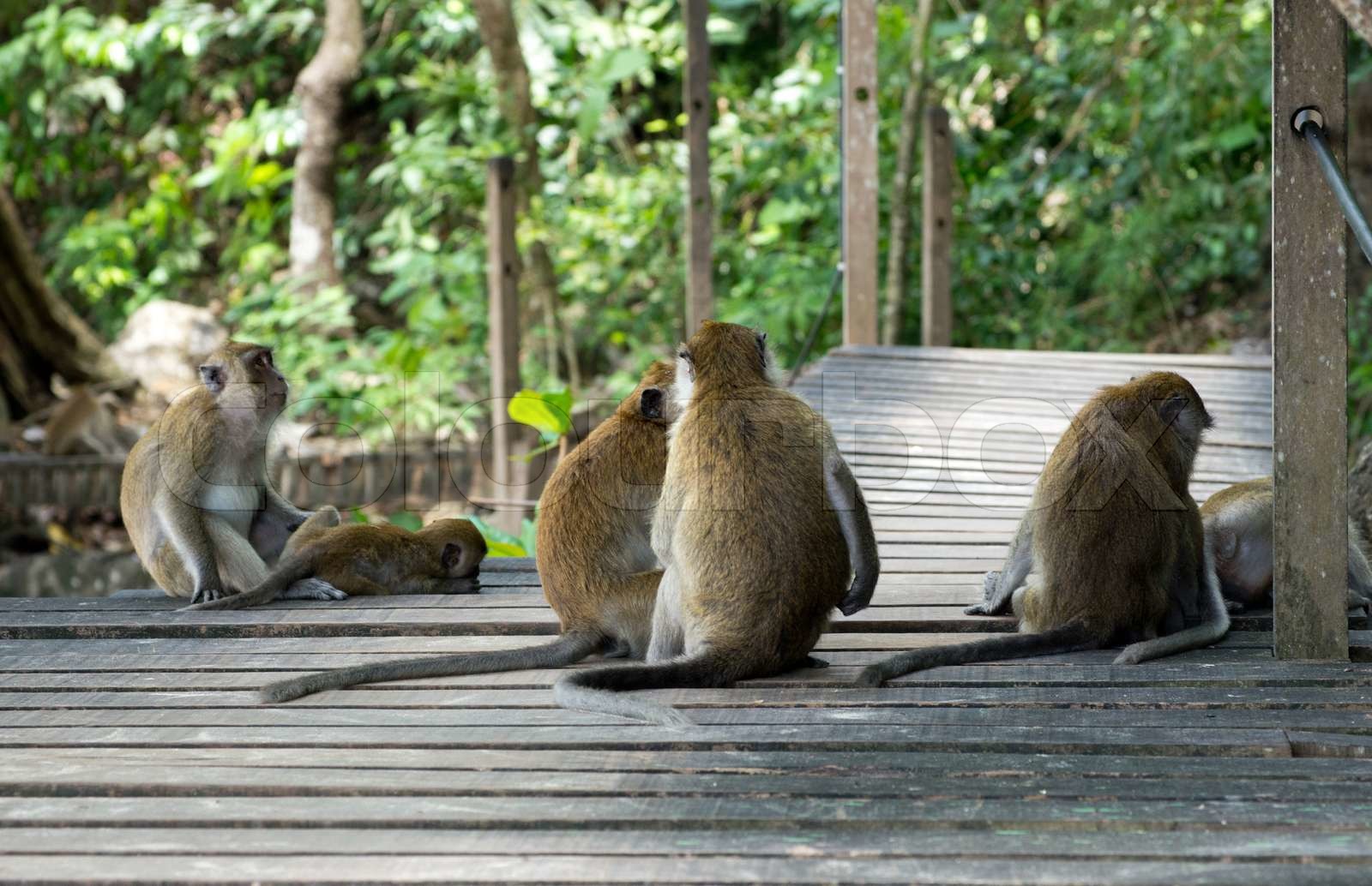 abe Stock foto Colourbox