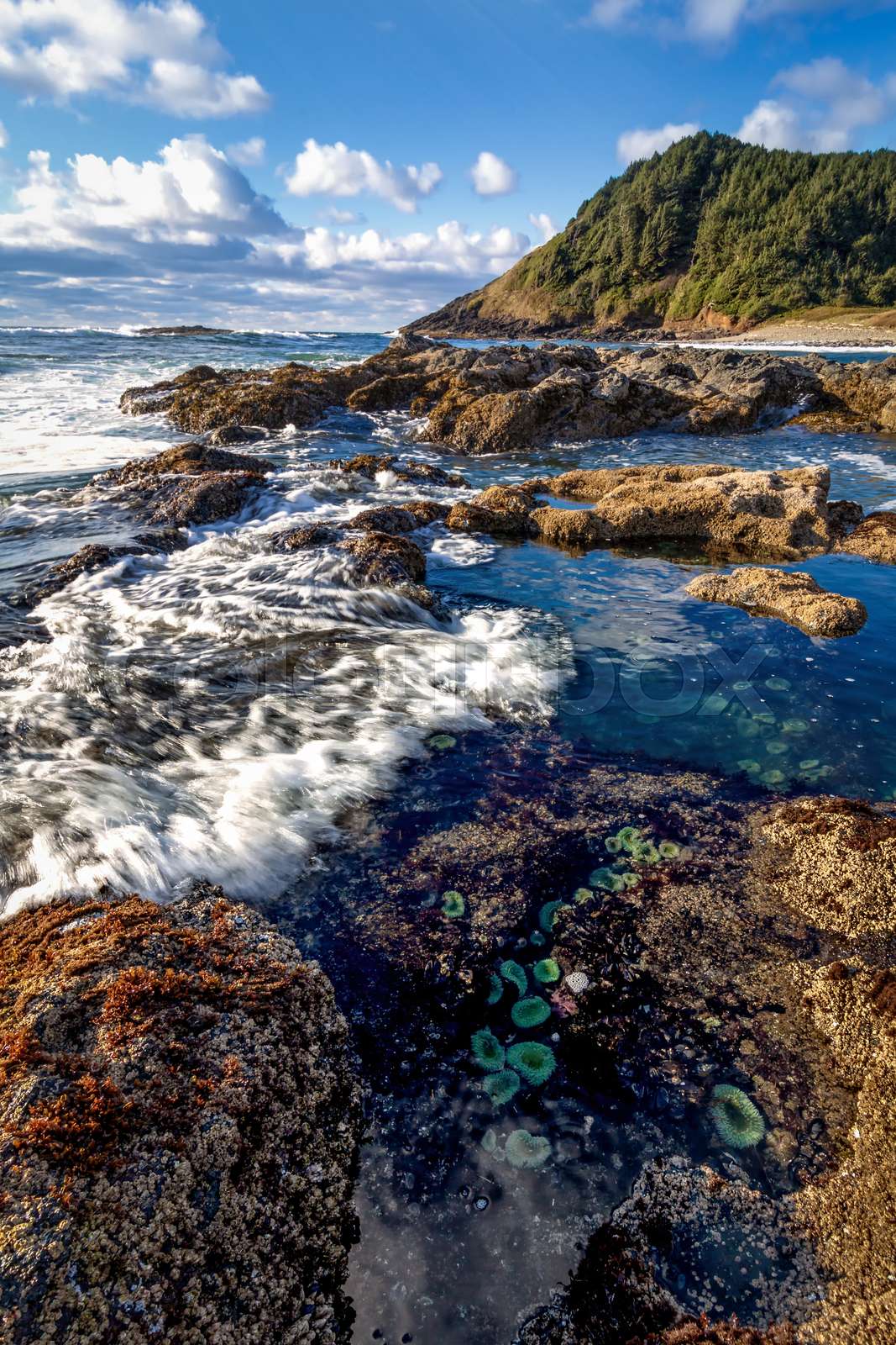 Sunset at a Rocky Pacific Northwest Beach | Stock image | Colourbox