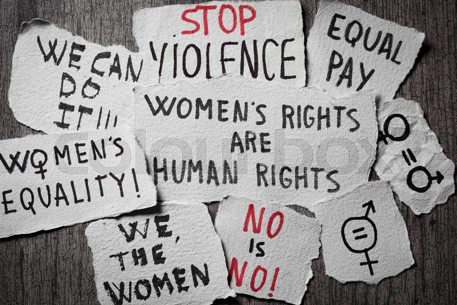 GENDER EQUALITY AND WOMEN S RIGHTS intelligence overview