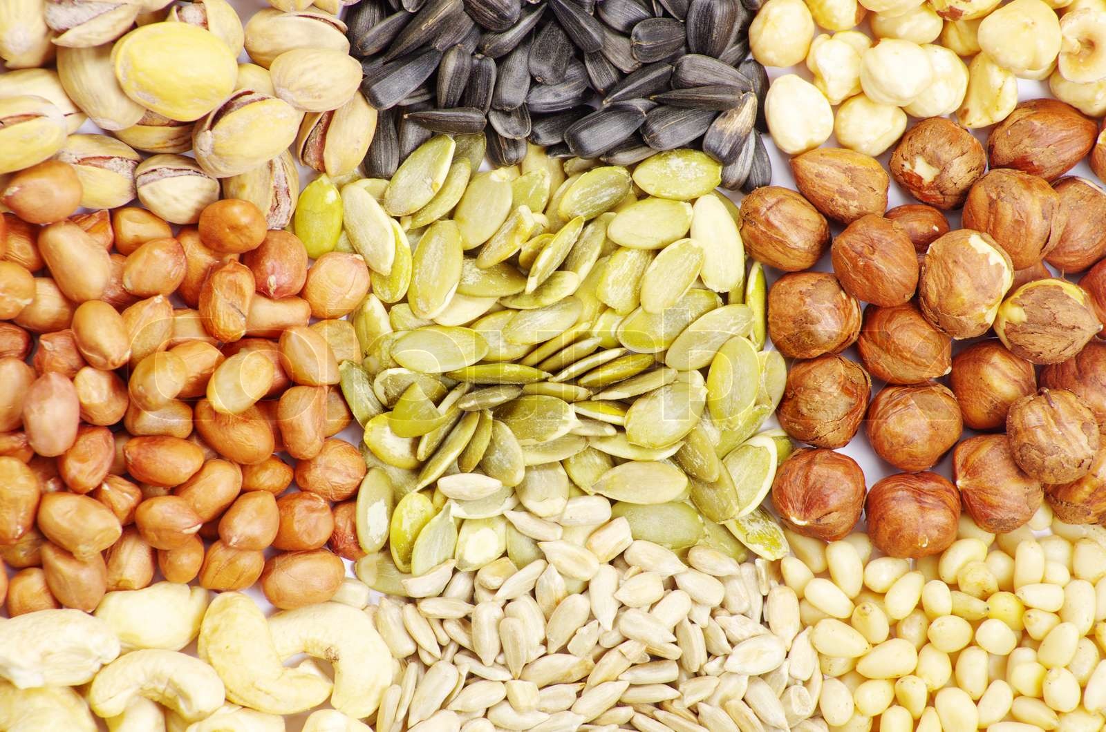seeds and nuts Stock image Colourbox