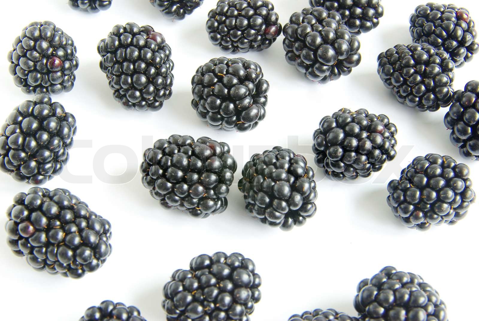 Blackberry Stock Image Colourbox