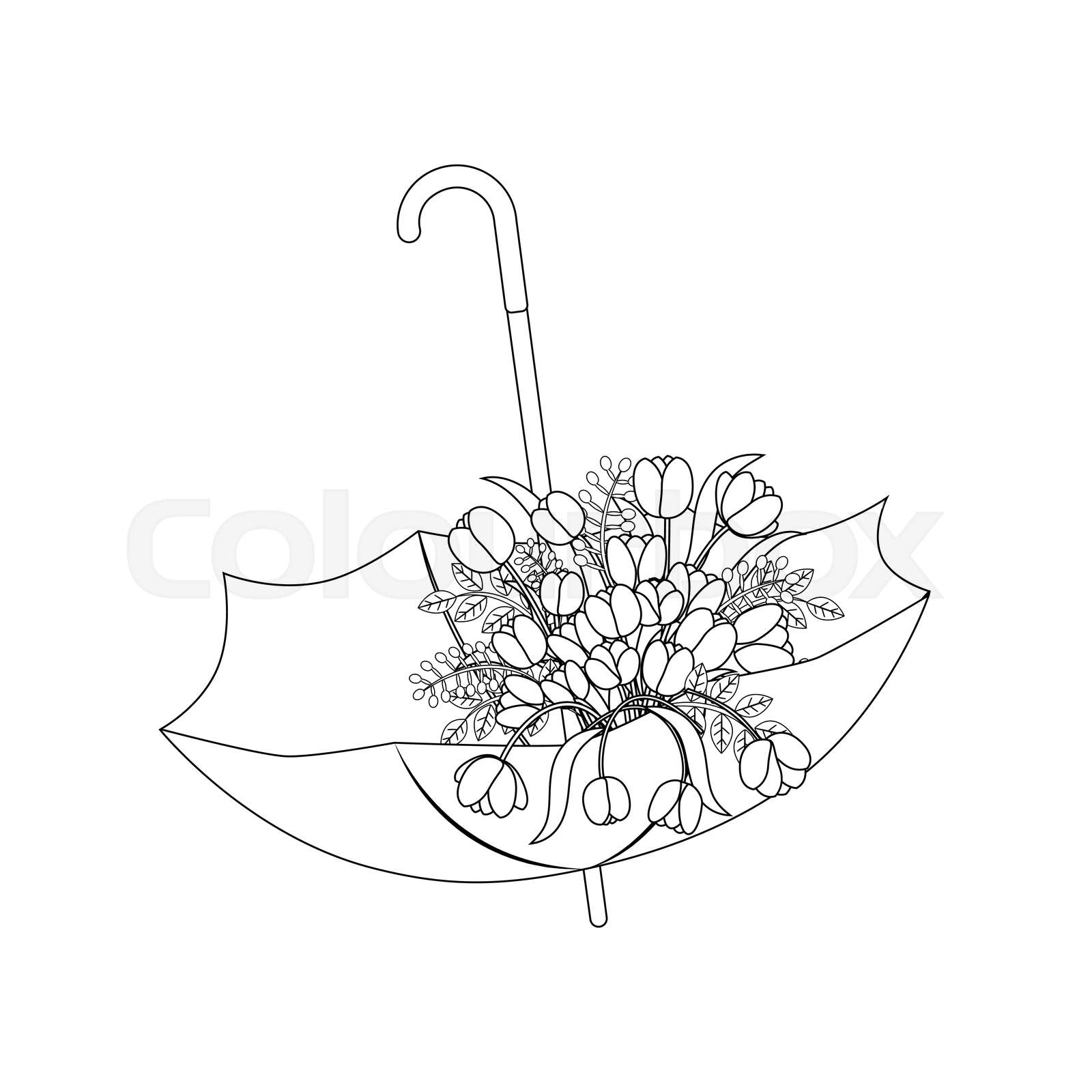 Spring flowers in umbrella outline Stock vector Colourbox