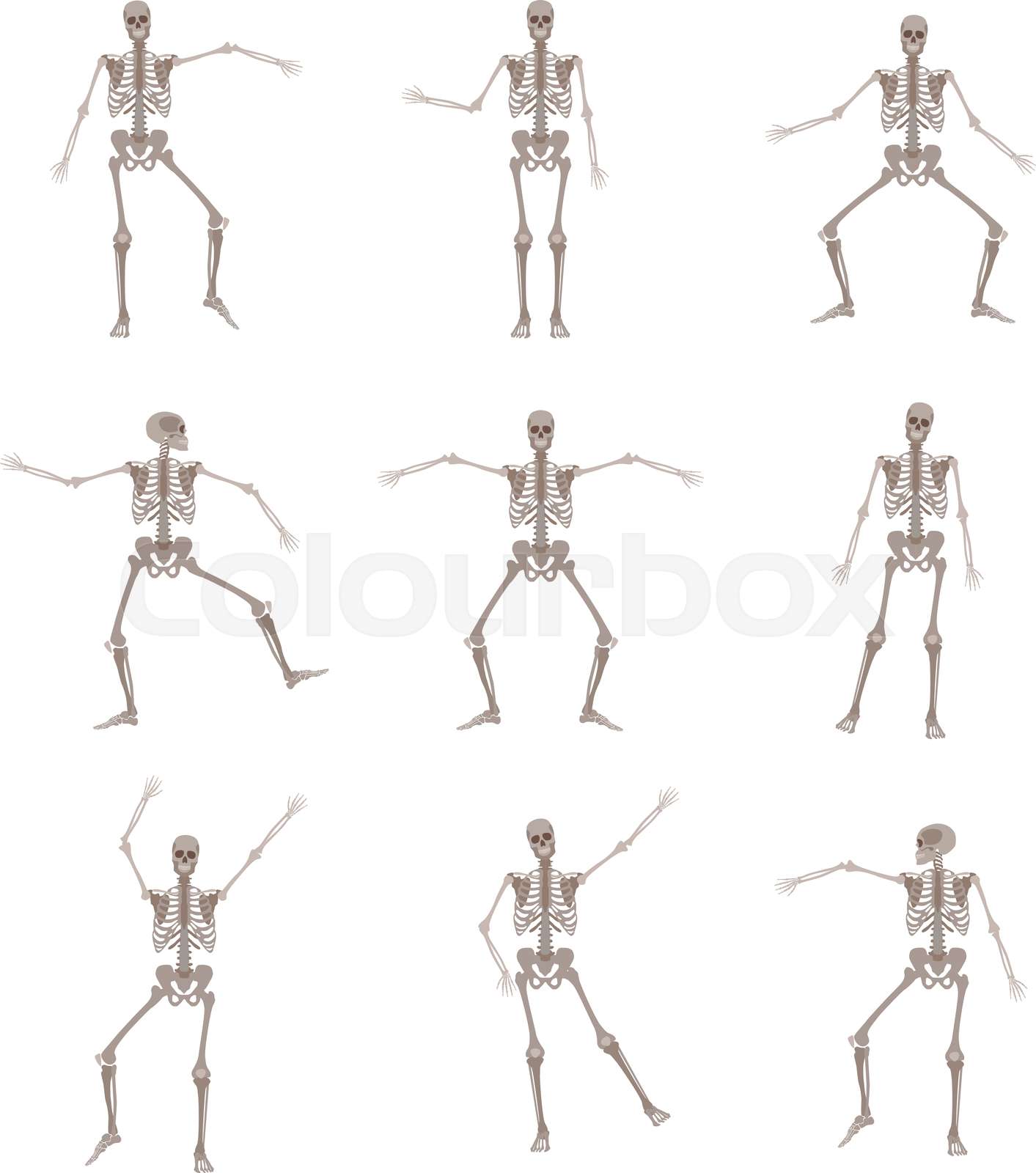 Vector human skeleton in motion in various poses | Stock vector | Colourbox