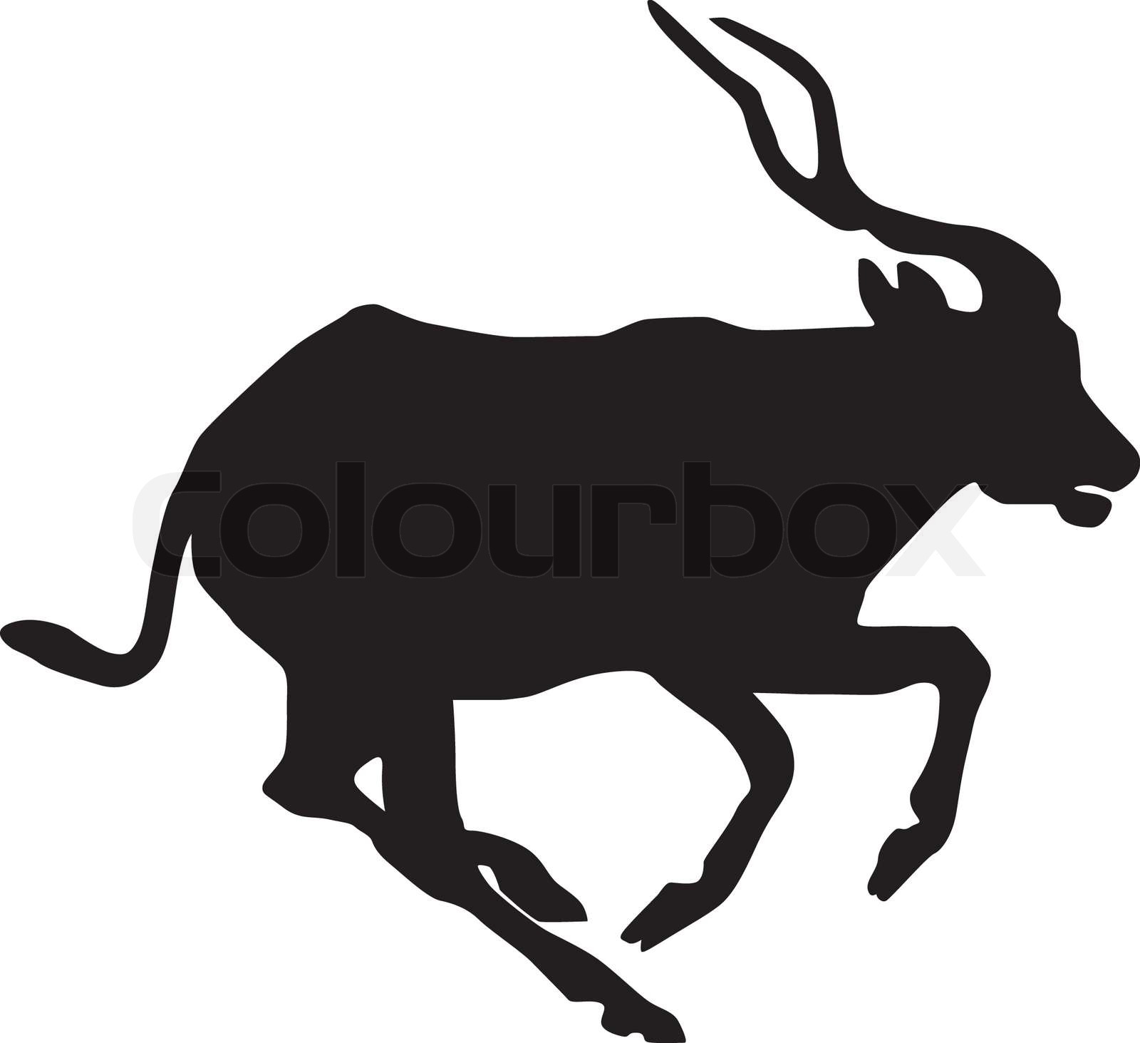 Antilope | Stock-Vektor | Colourbox