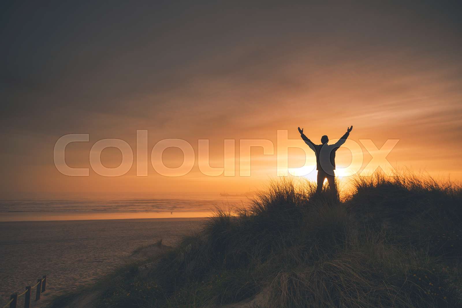 Freedom | Stock image | Colourbox