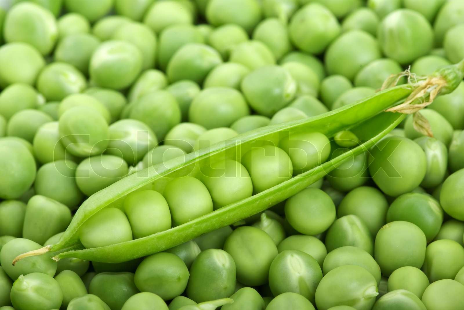 Peas and cracked pod | Stock image | Colourbox