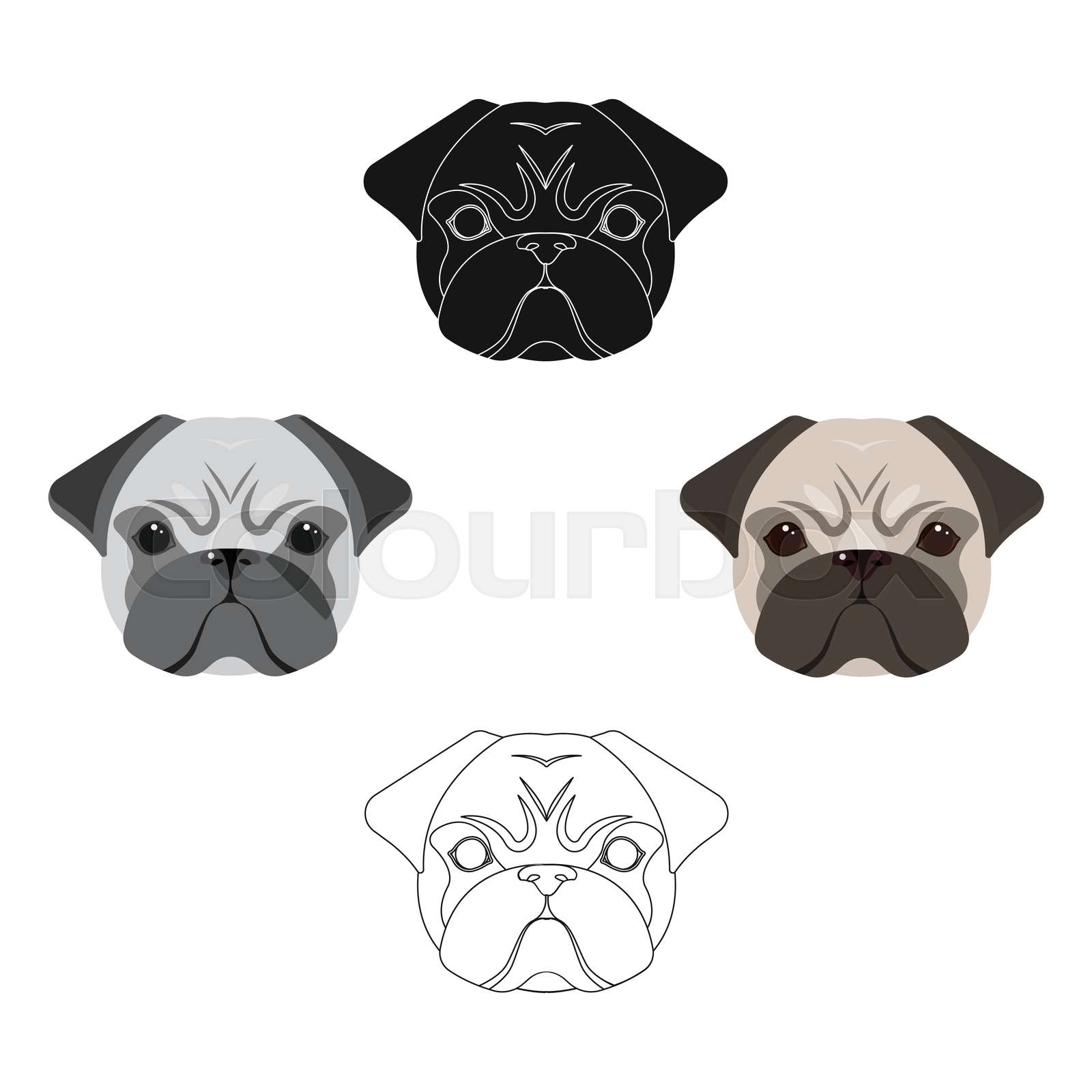 pug with muzzle