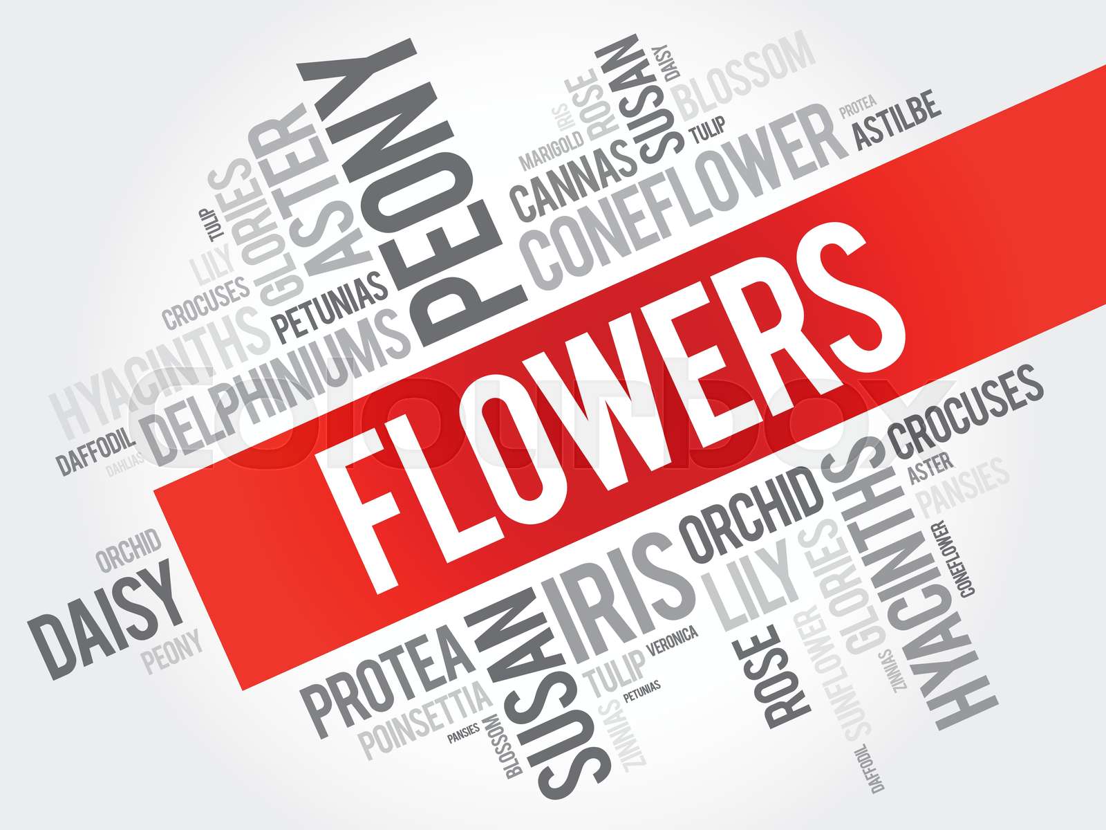 Flowers word cloud collage Stock vector Colourbox