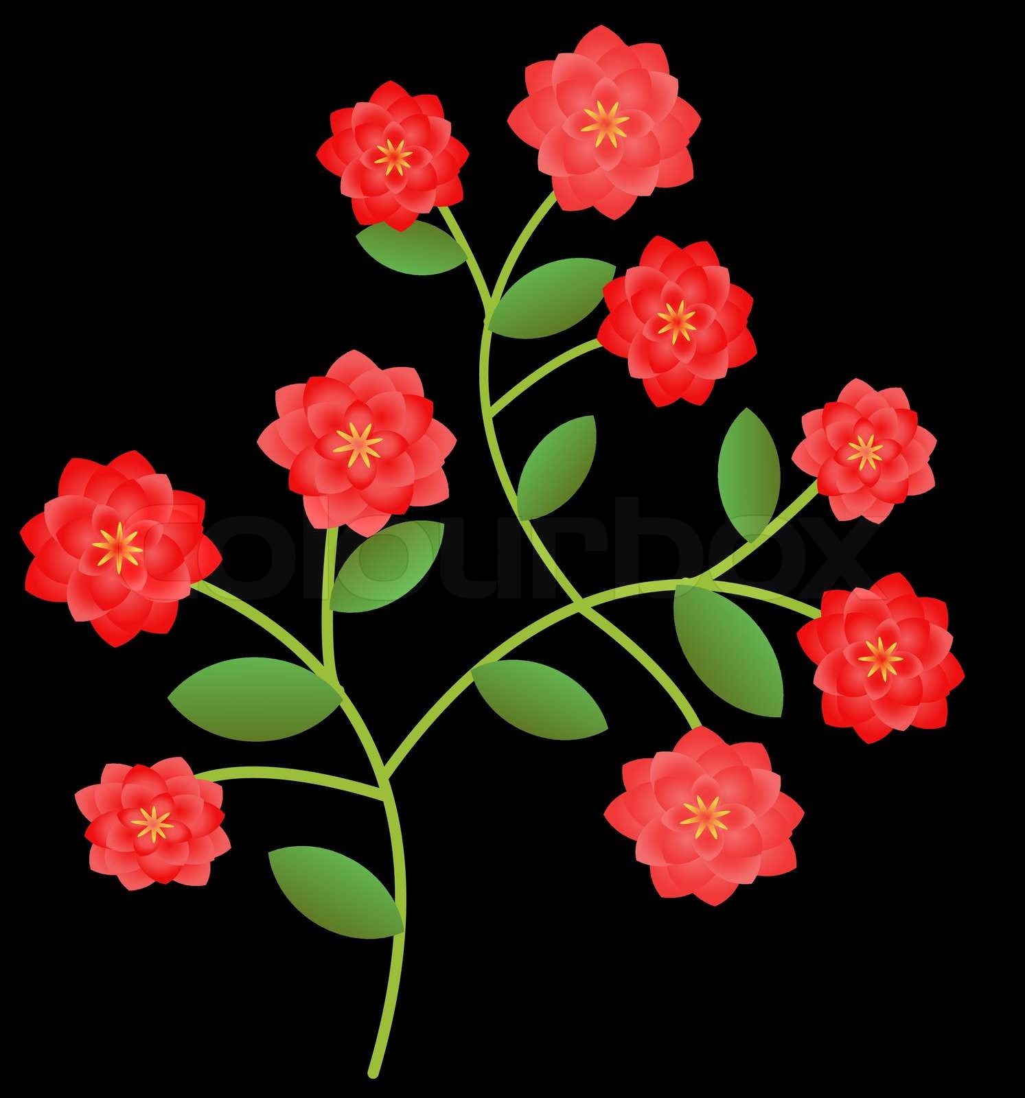 Red roses bush illustration Stock vector Colourbox