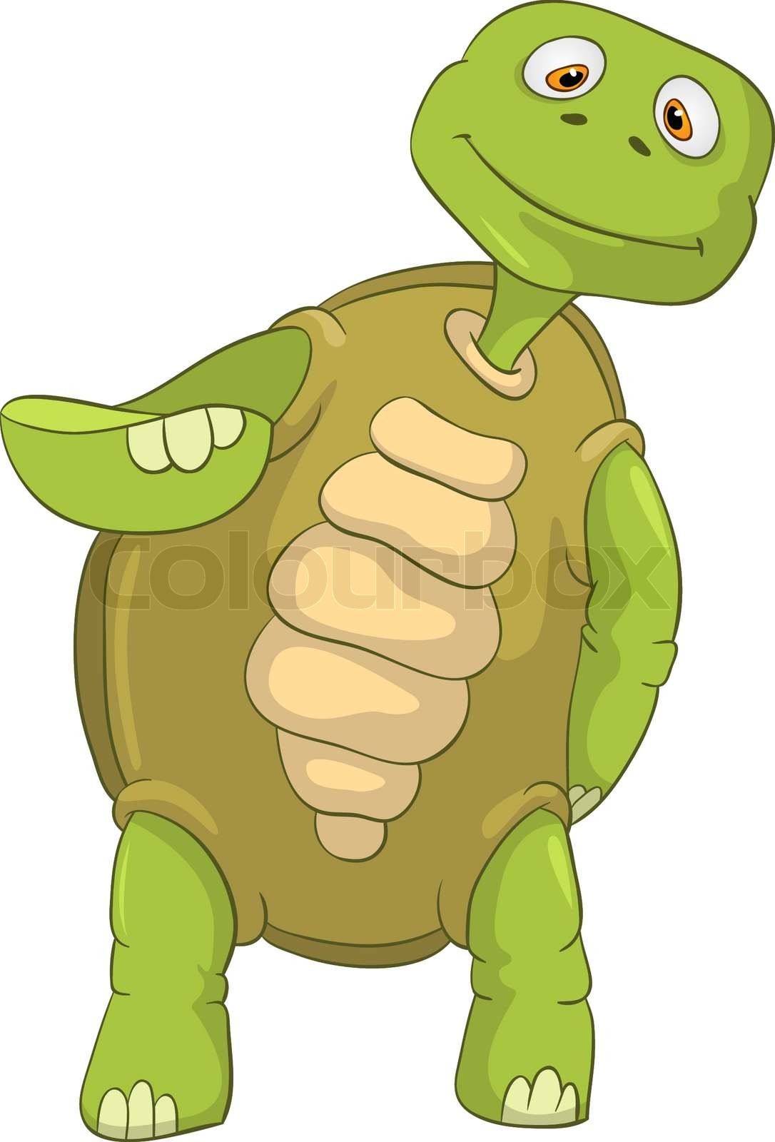 Funny Turtle | Stock vector | Colourbox