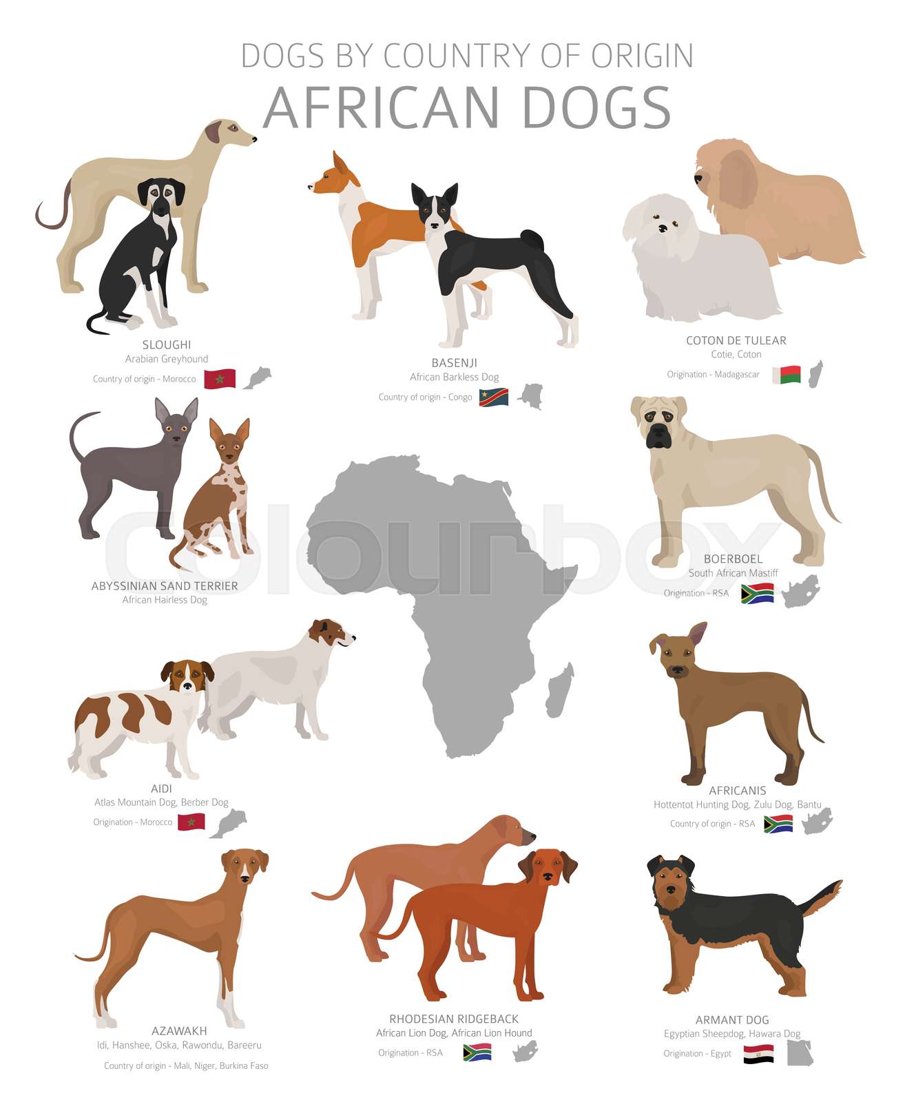 What Dogs Originated In Egypt