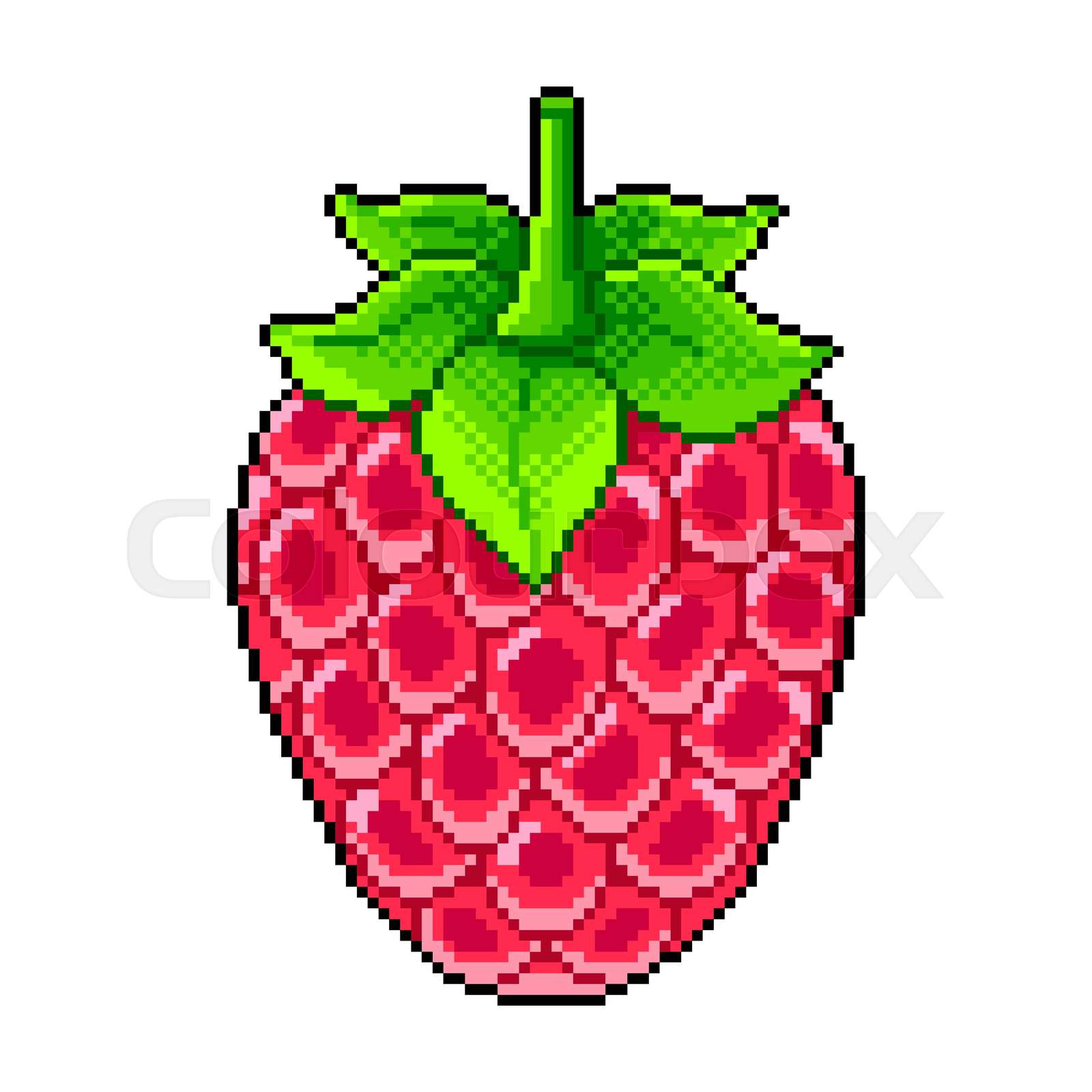 Pixel fresh raspberry detailed illustration isolated vector Stock