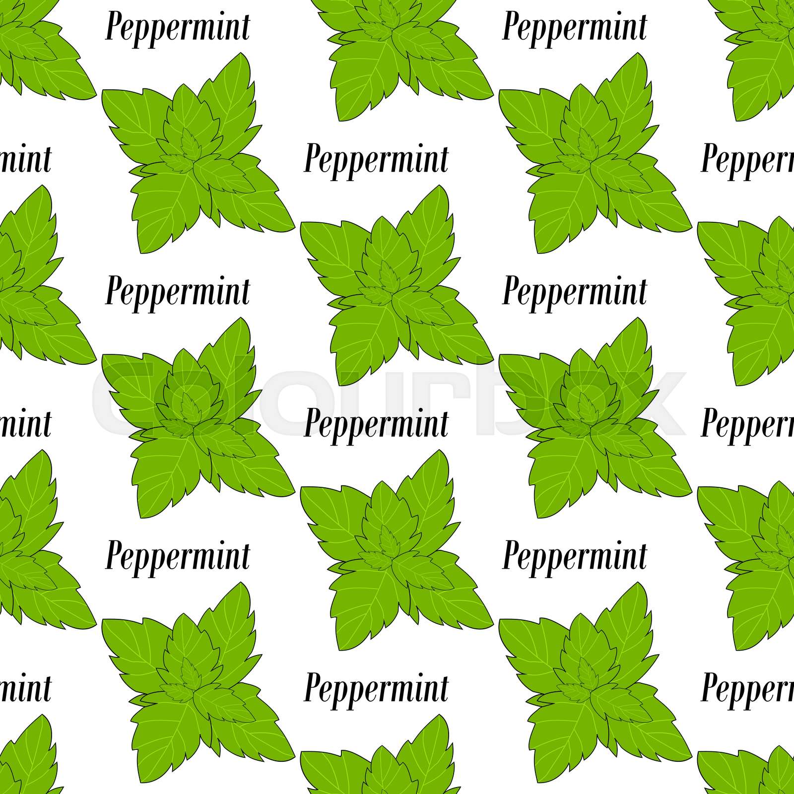 Peppermint seamless pattern | Stock vector | Colourbox