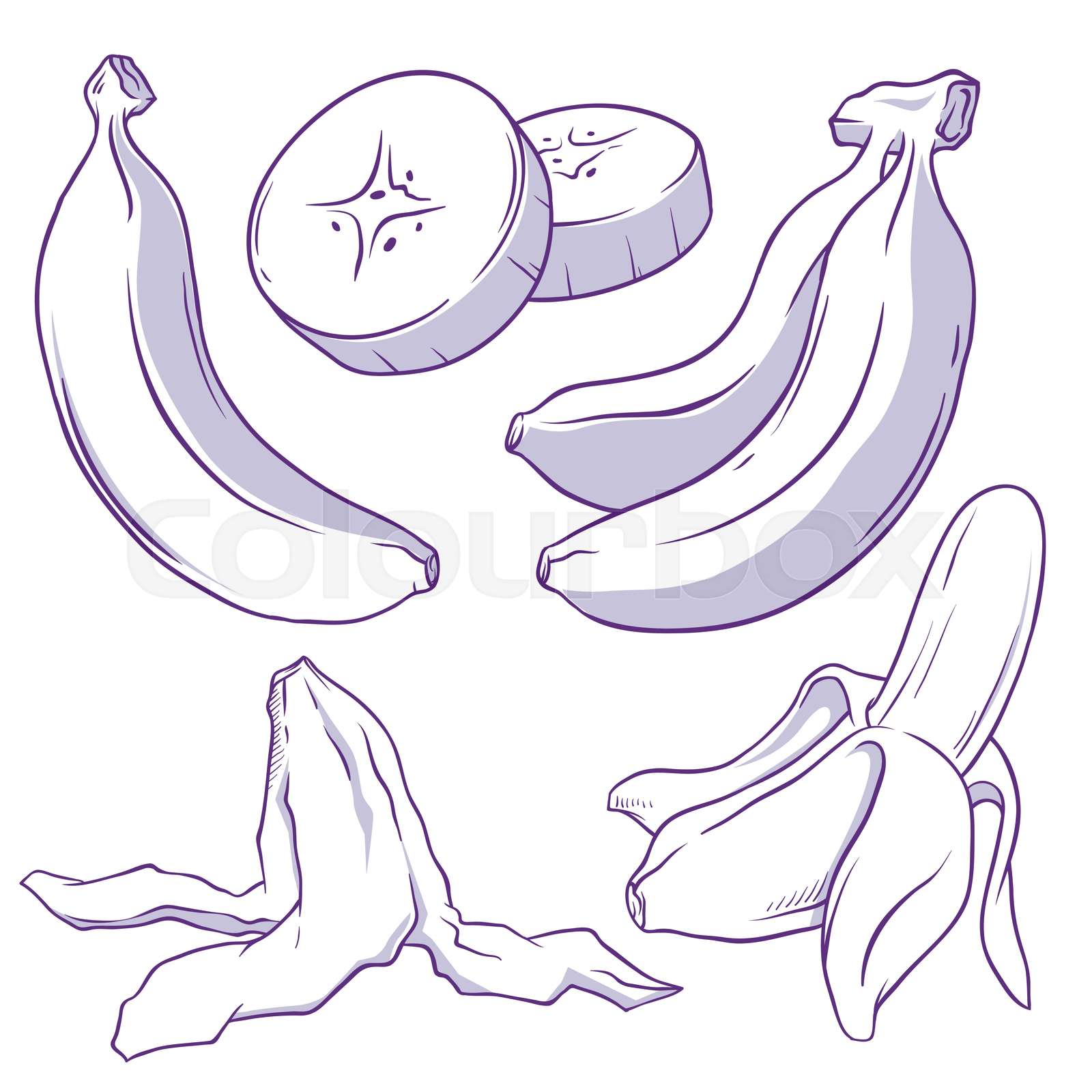 Banana Doodle | Stock vector | Colourbox