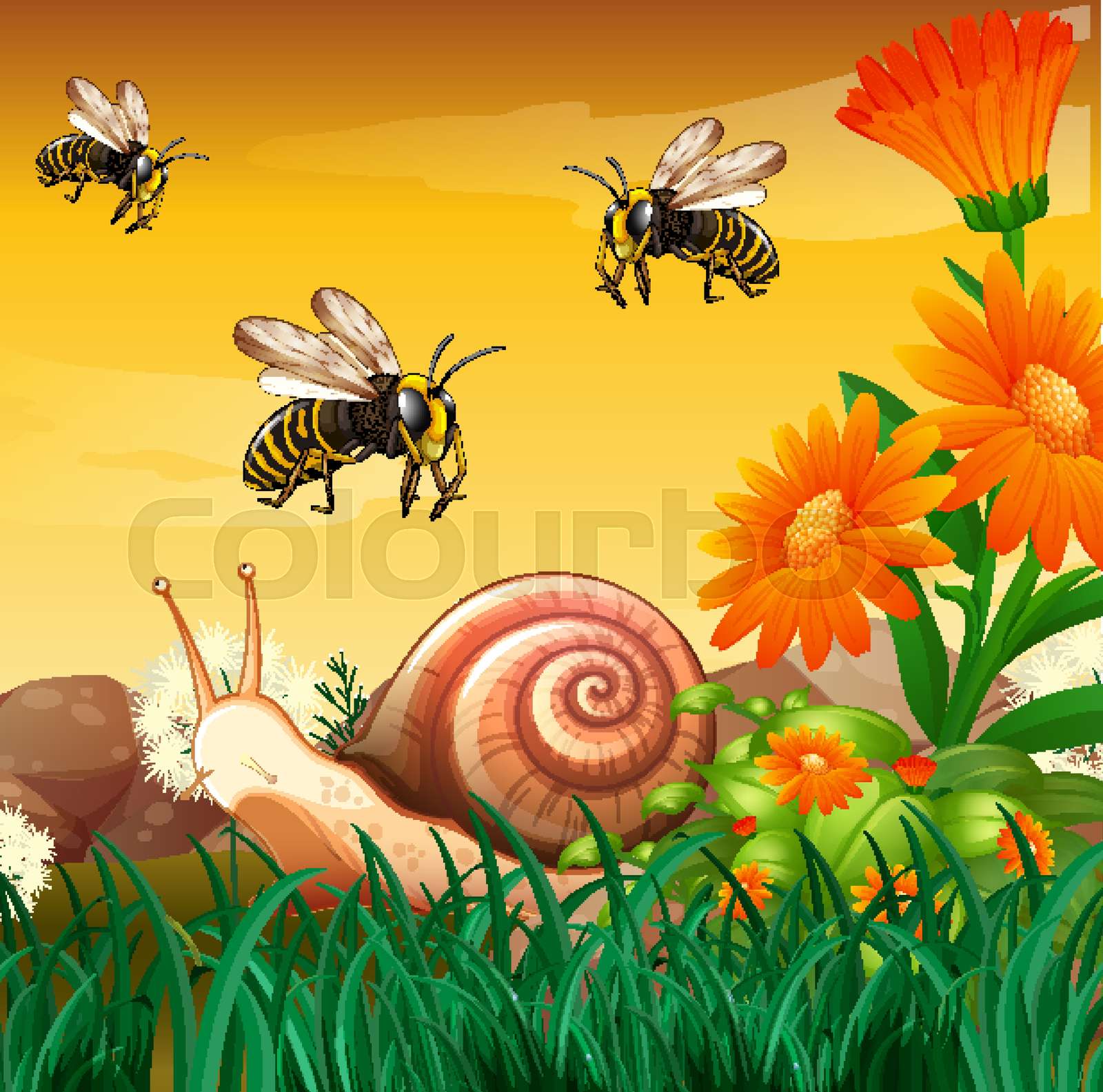 Nature scene with bees and snail Stock vector Colourbox
