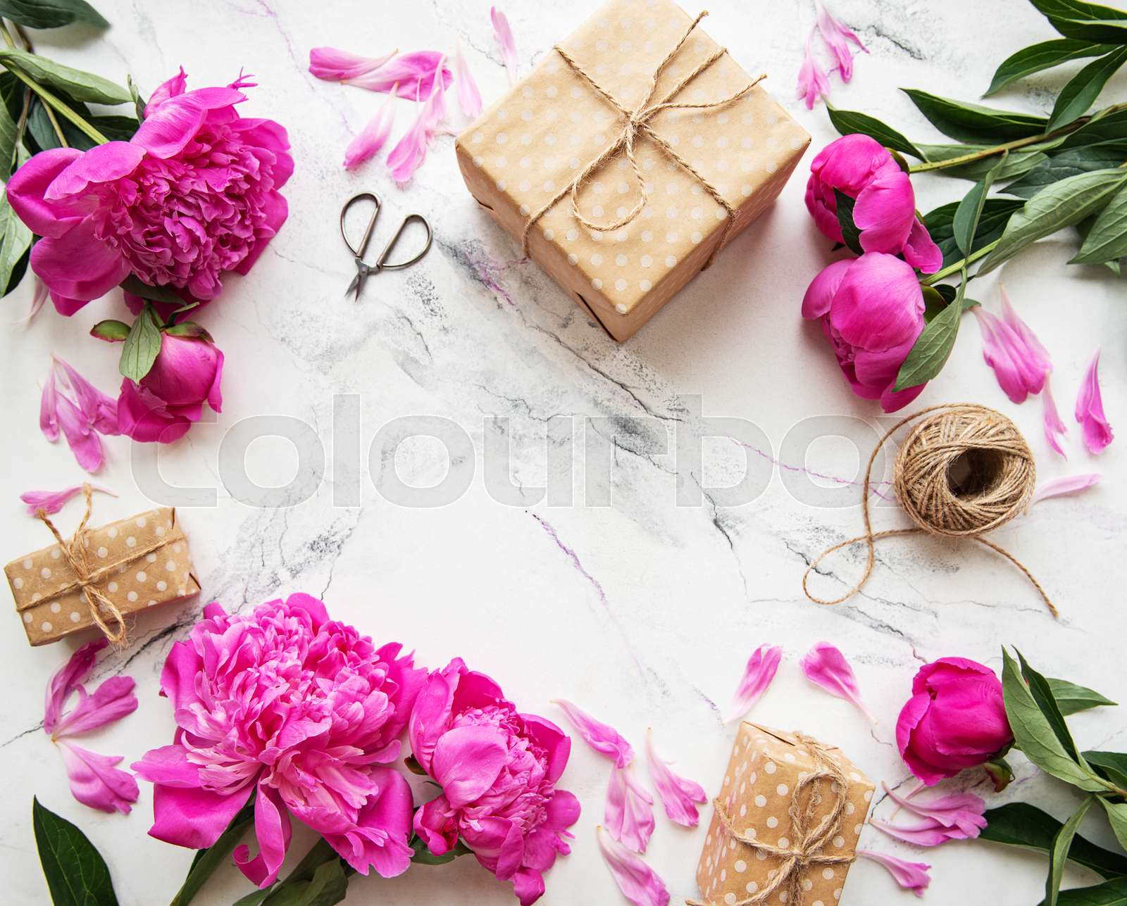 background-with-pink-peonies-stock-image-colourbox