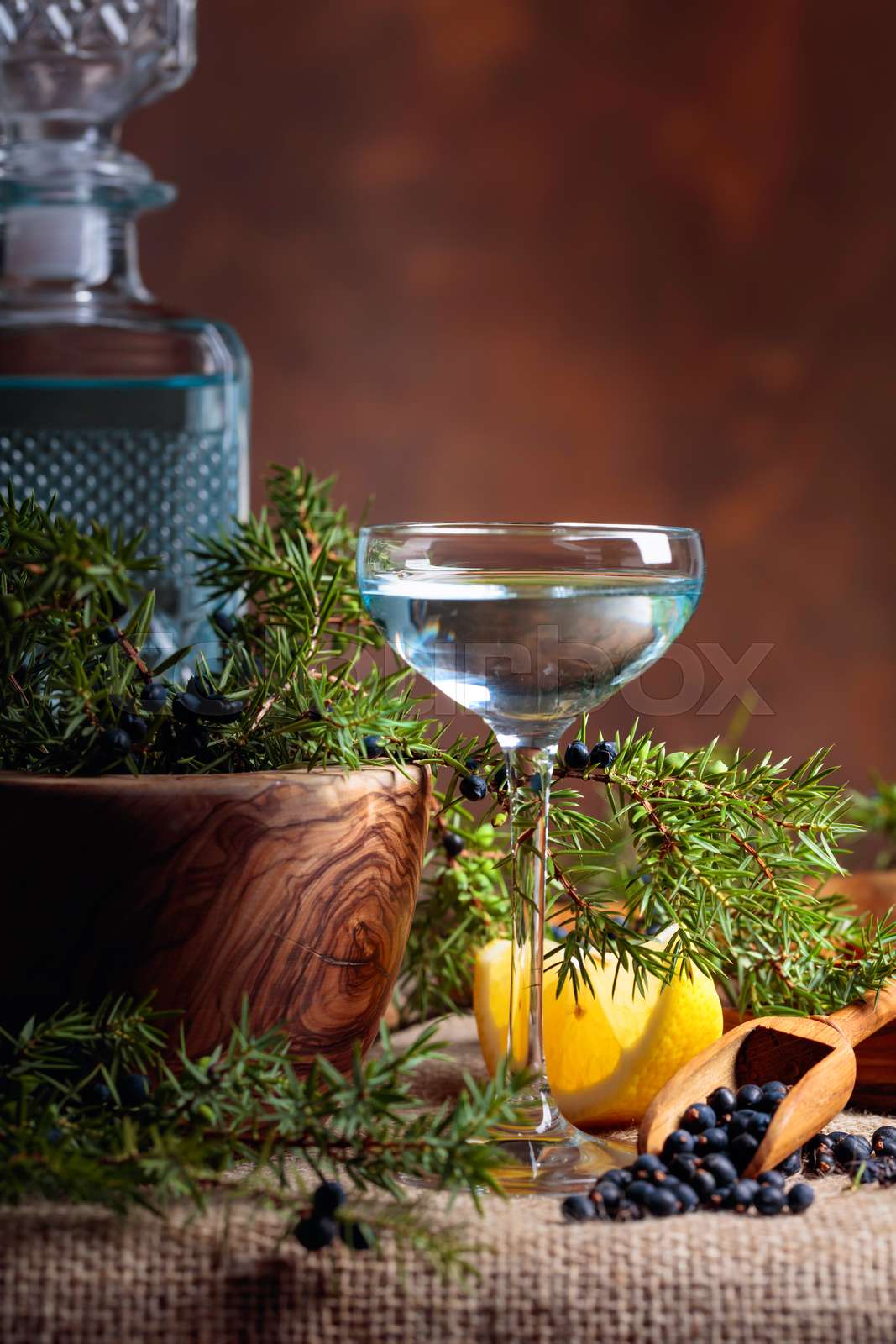 Gin, lemon and a branch of juniper with berries. Stock image Colourbox
