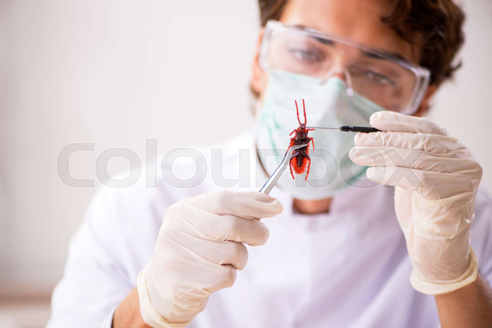 Male entomologist working in the lab on new species | Stock image ...