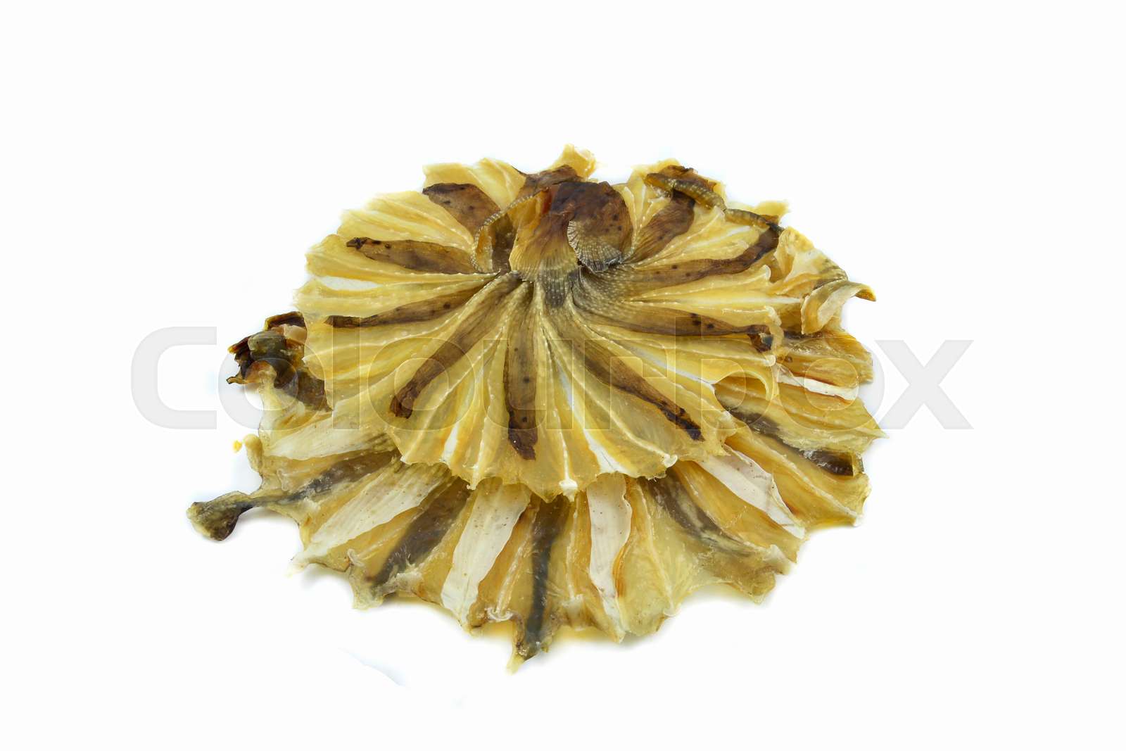 Circle dried fish dissect preservation dry seafood | Stock image ...