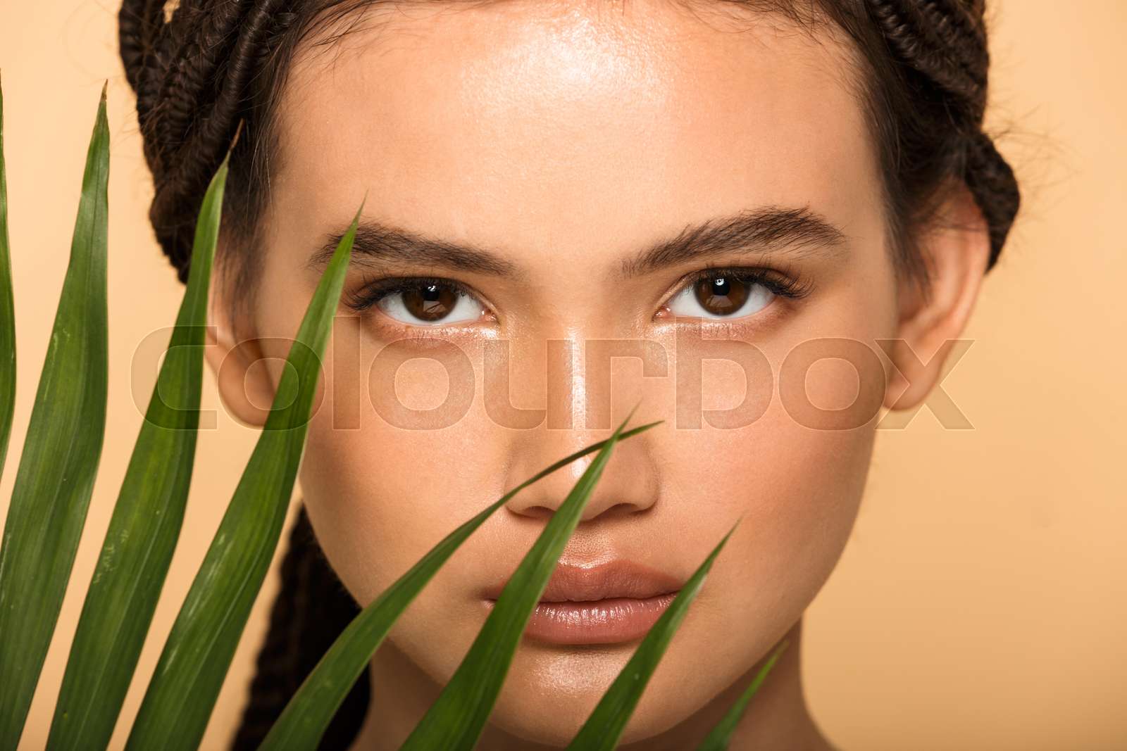 Beauty portrait of an attractive young topless girl standing Stock